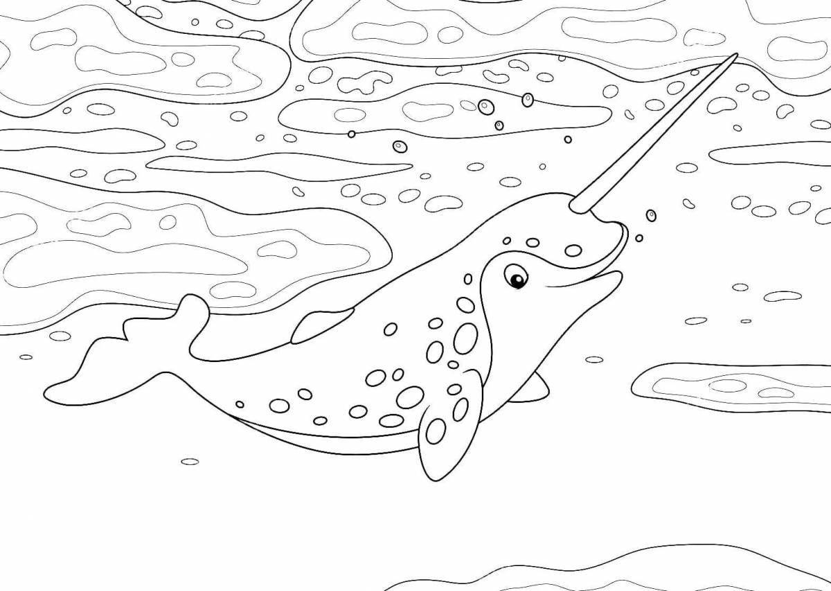 Fun narwhal coloring book for kids