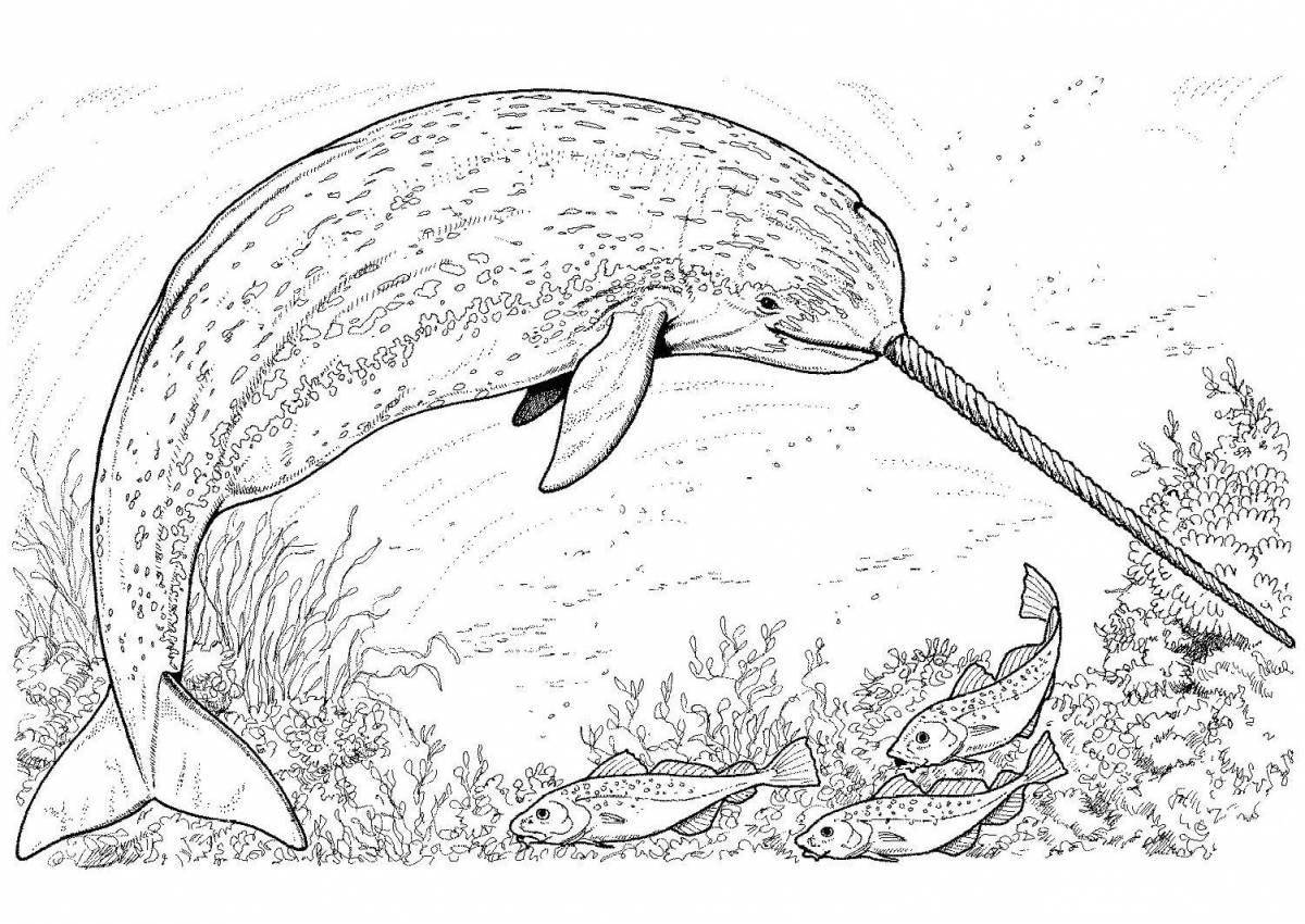 Magic narwhal coloring book for kids