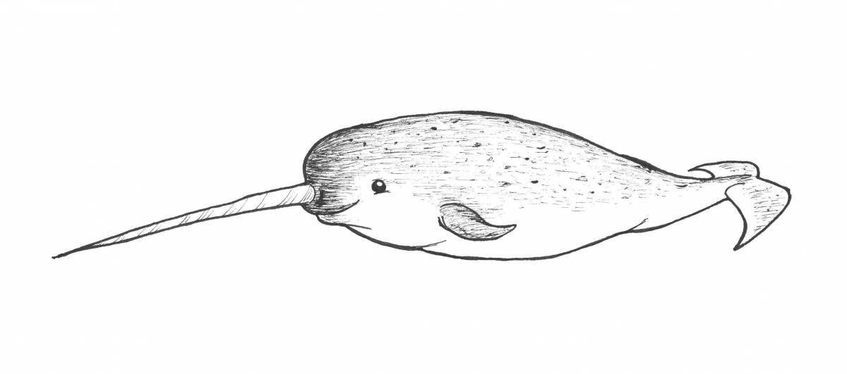 Fancy narwhal coloring for kids