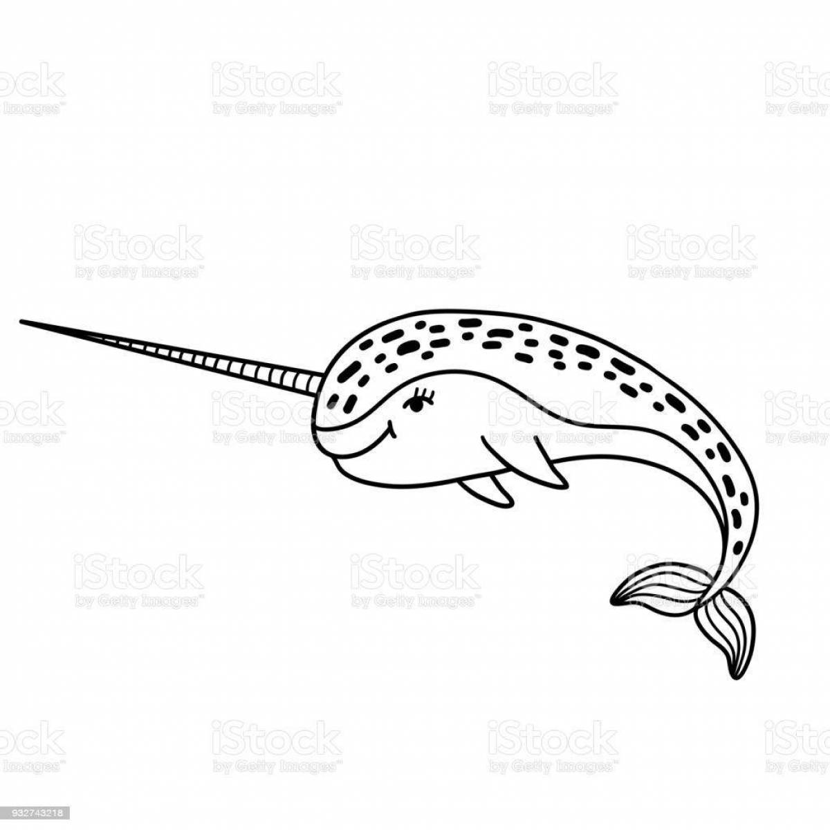 Coloring book shining narwhal for children