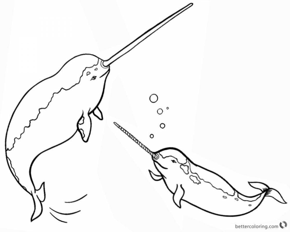 Fascinating narwhal coloring book for kids