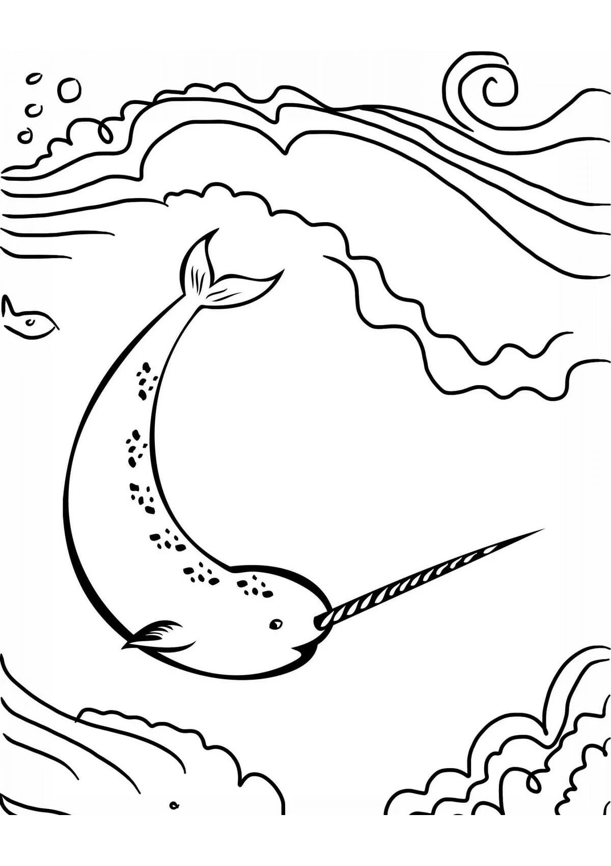 Exciting narwhal coloring book for kids