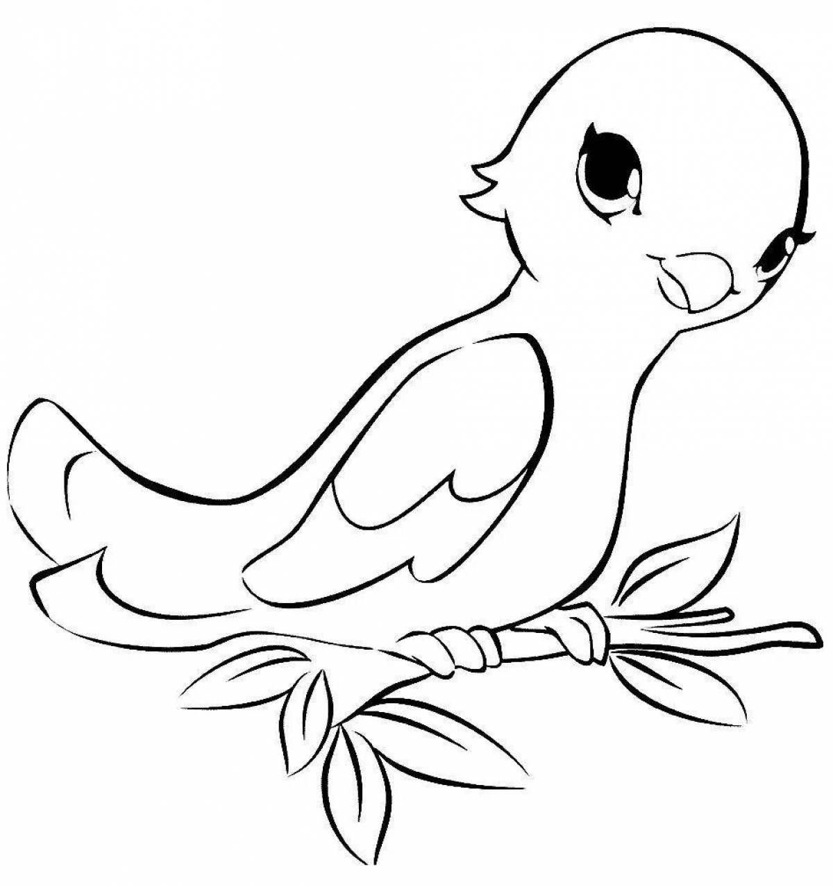 Fun bird coloring for kids