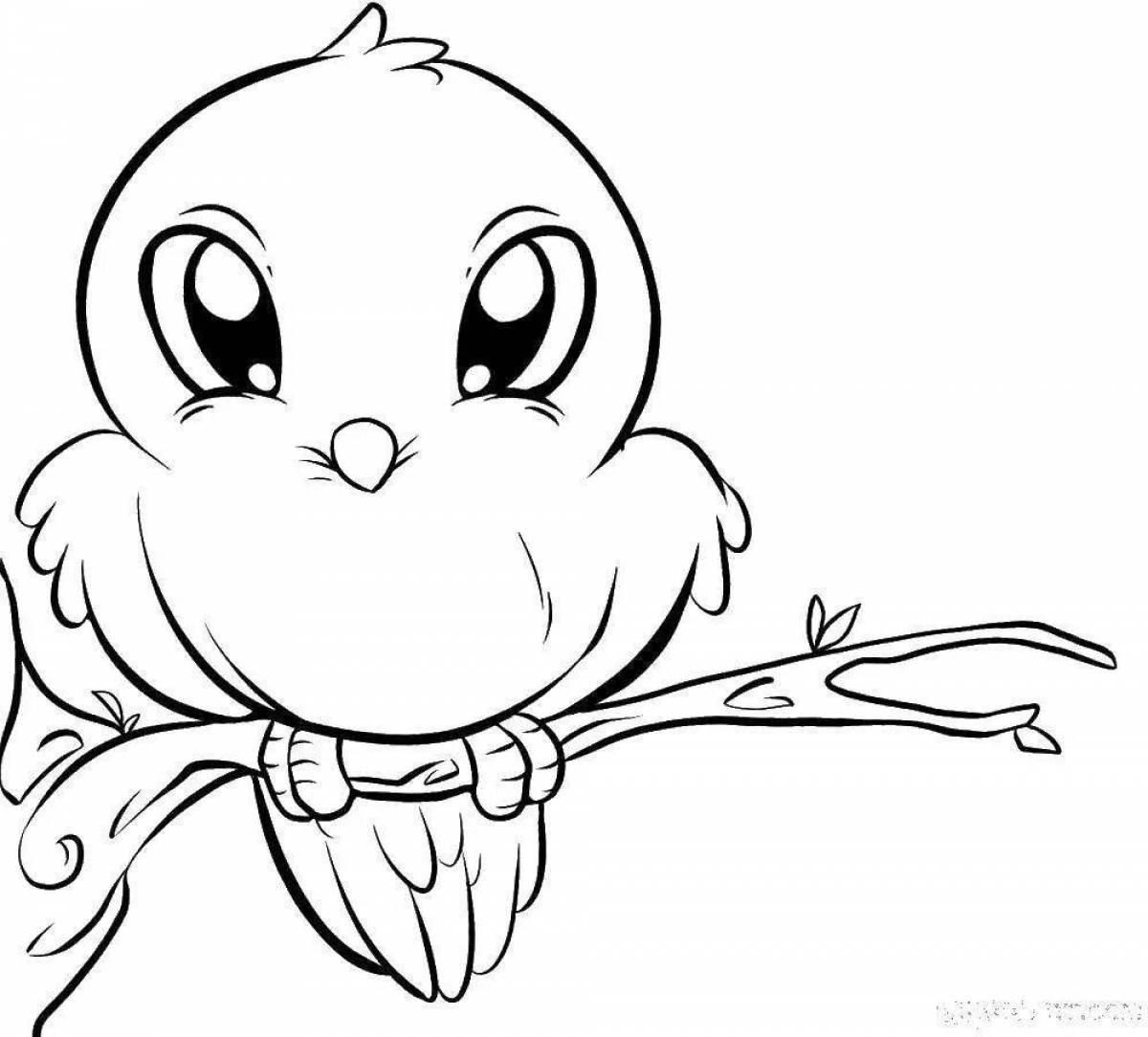 Coloring pages with cute birds for kids