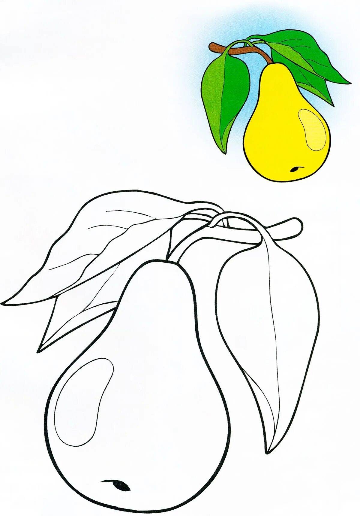 Раскраски Груша Для Детей - 67 фото