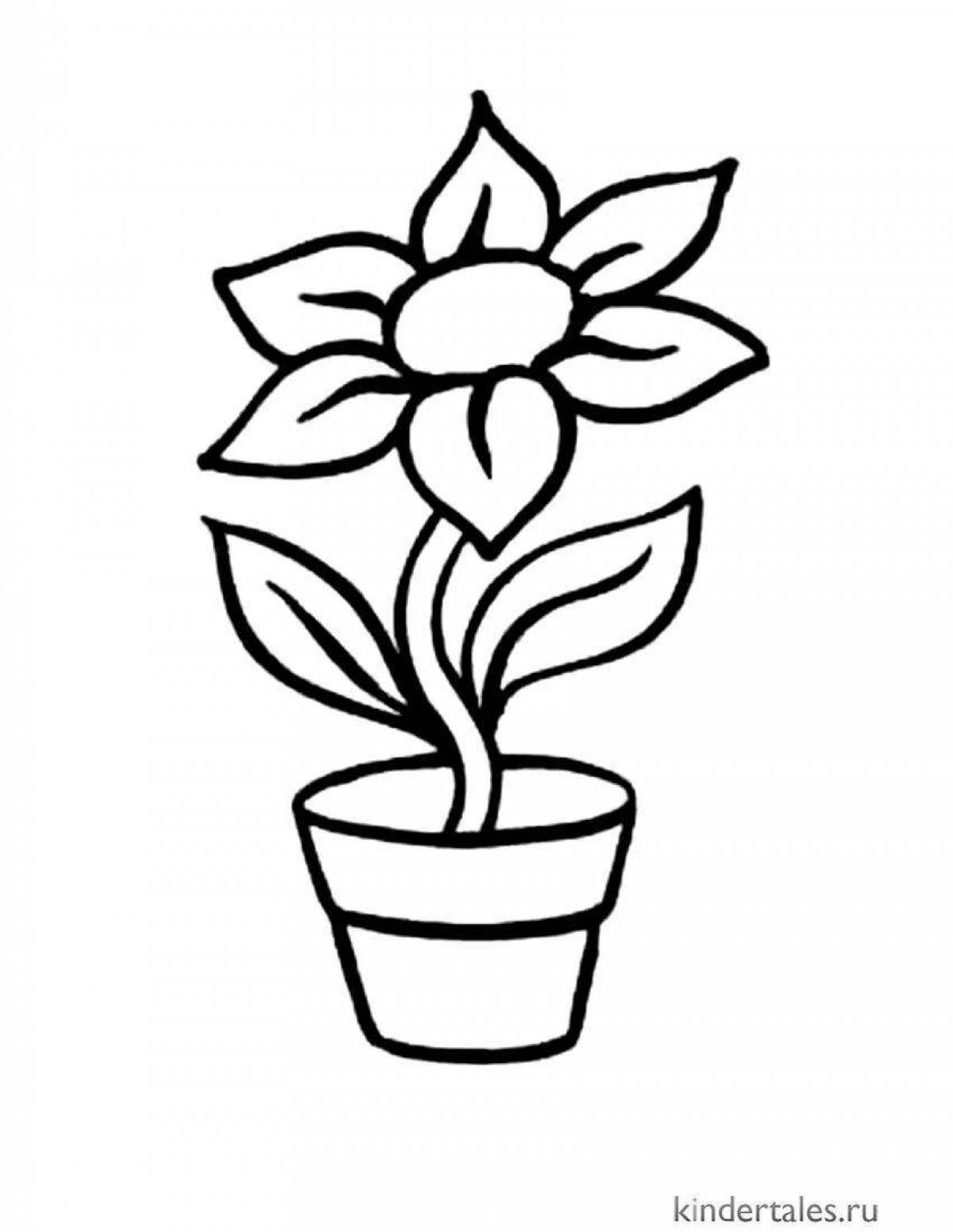 Colored bright flower pot coloring book