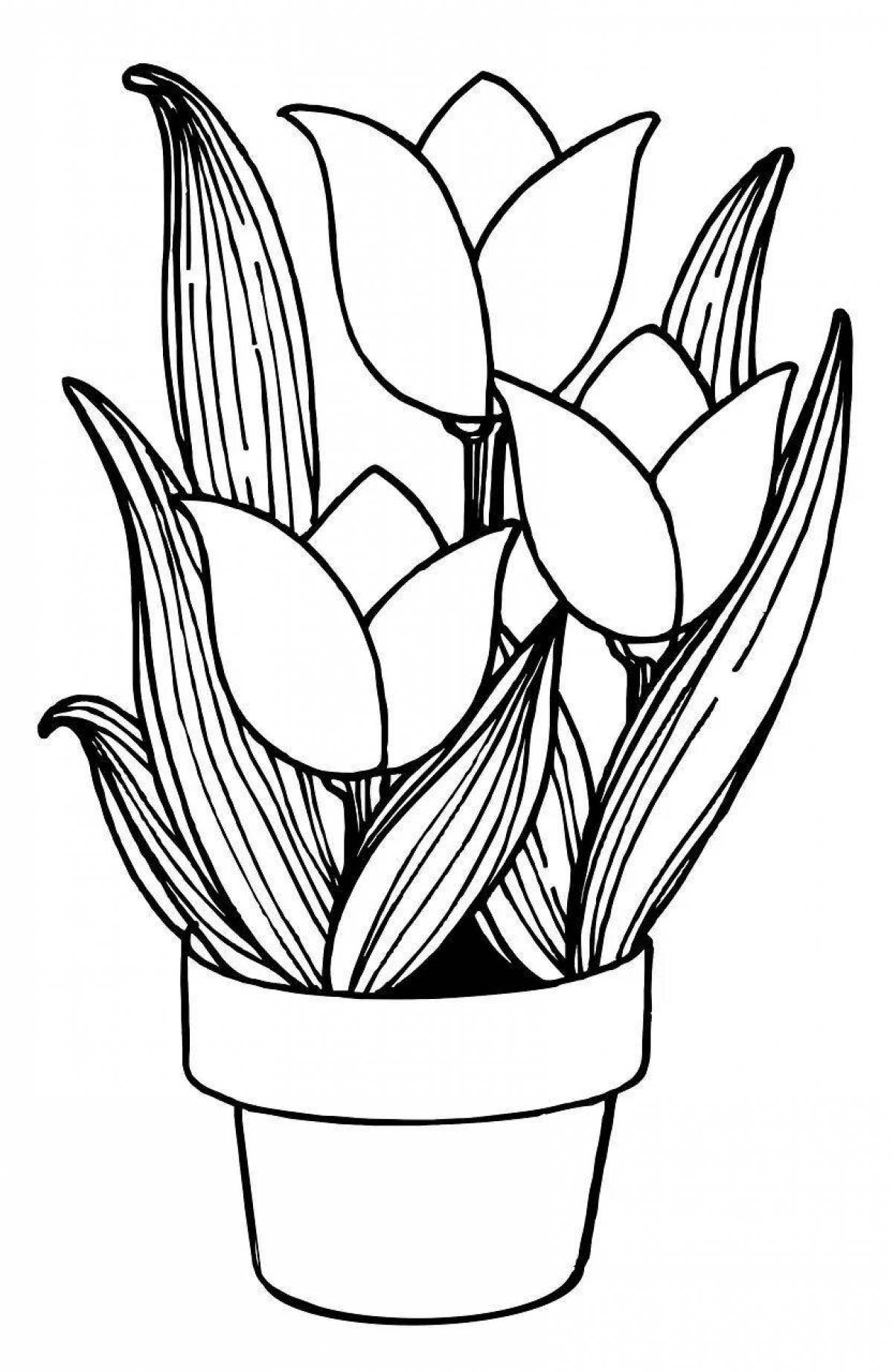 Colorful gorgeous flower pot coloring book