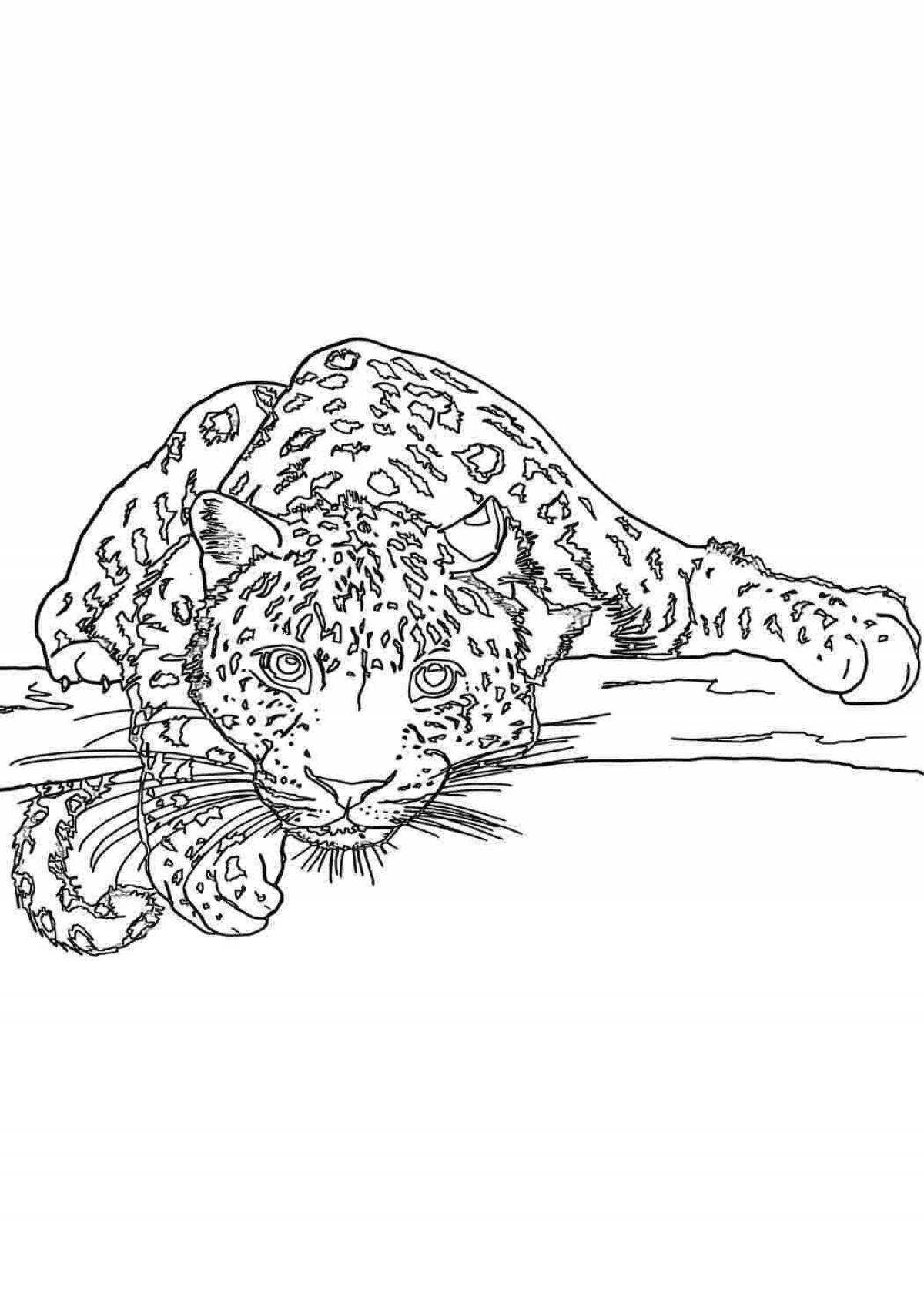 Adorable snow leopard coloring page