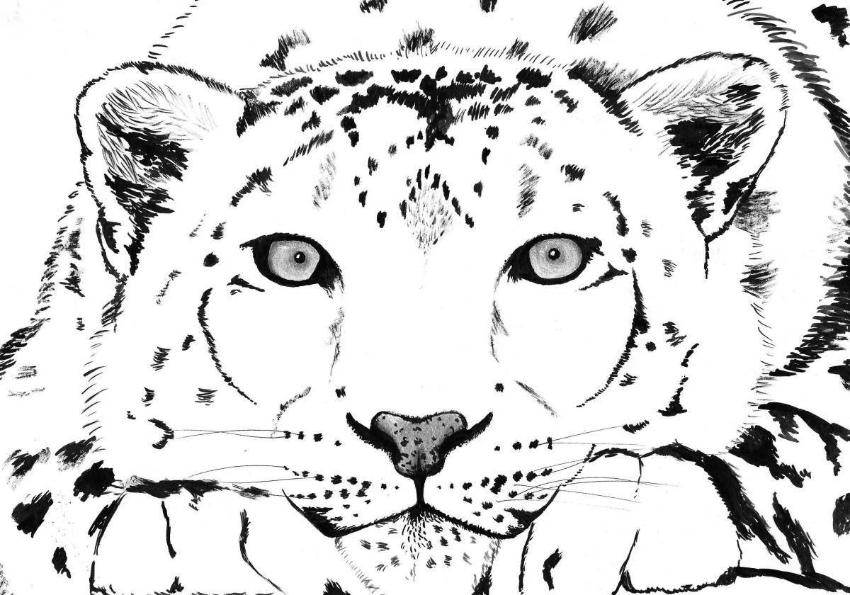 Charming snow leopard coloring book