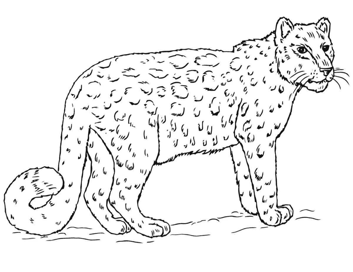 Colorful snow leopard coloring page