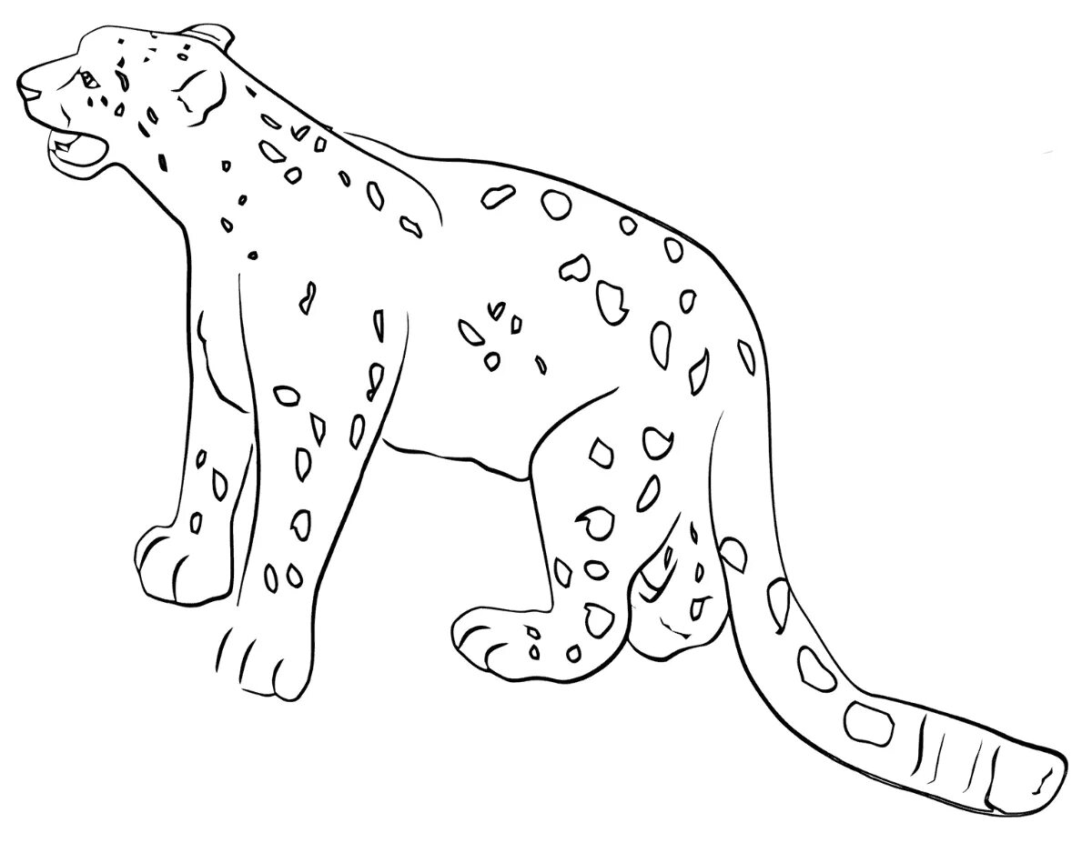 Coloring page funny snow leopard