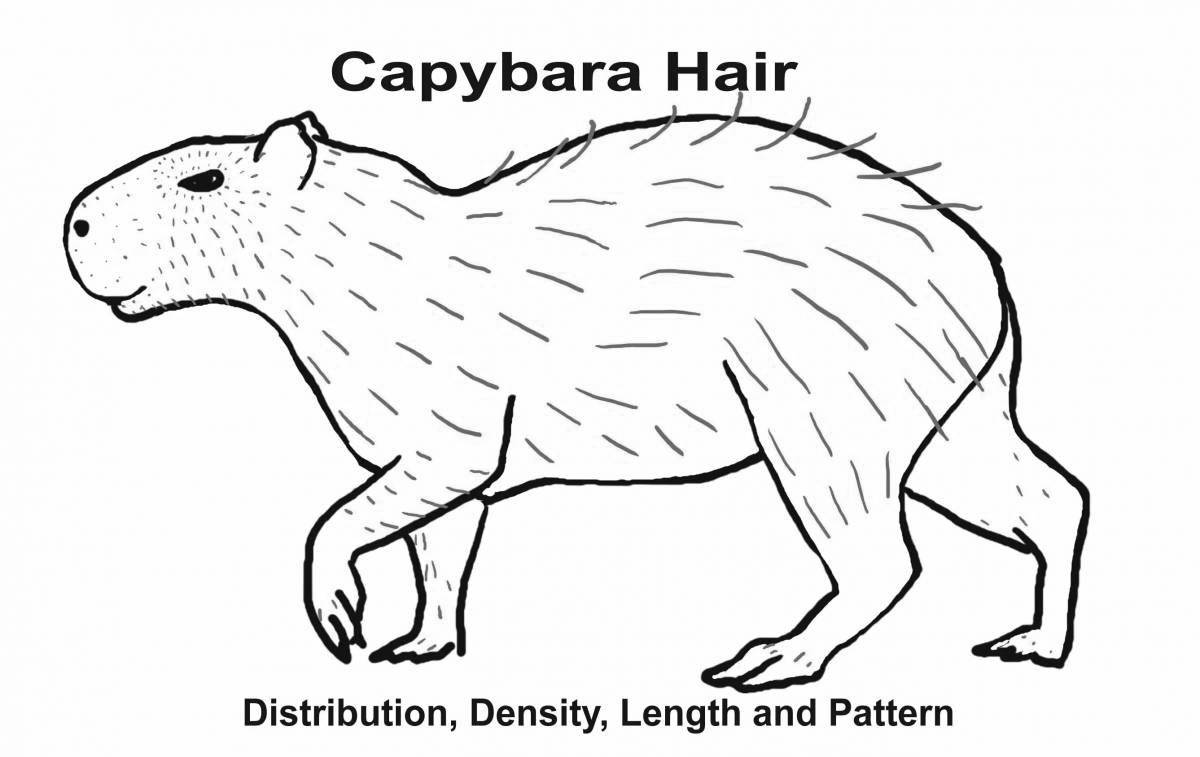 Playful capybara coloring page for kids