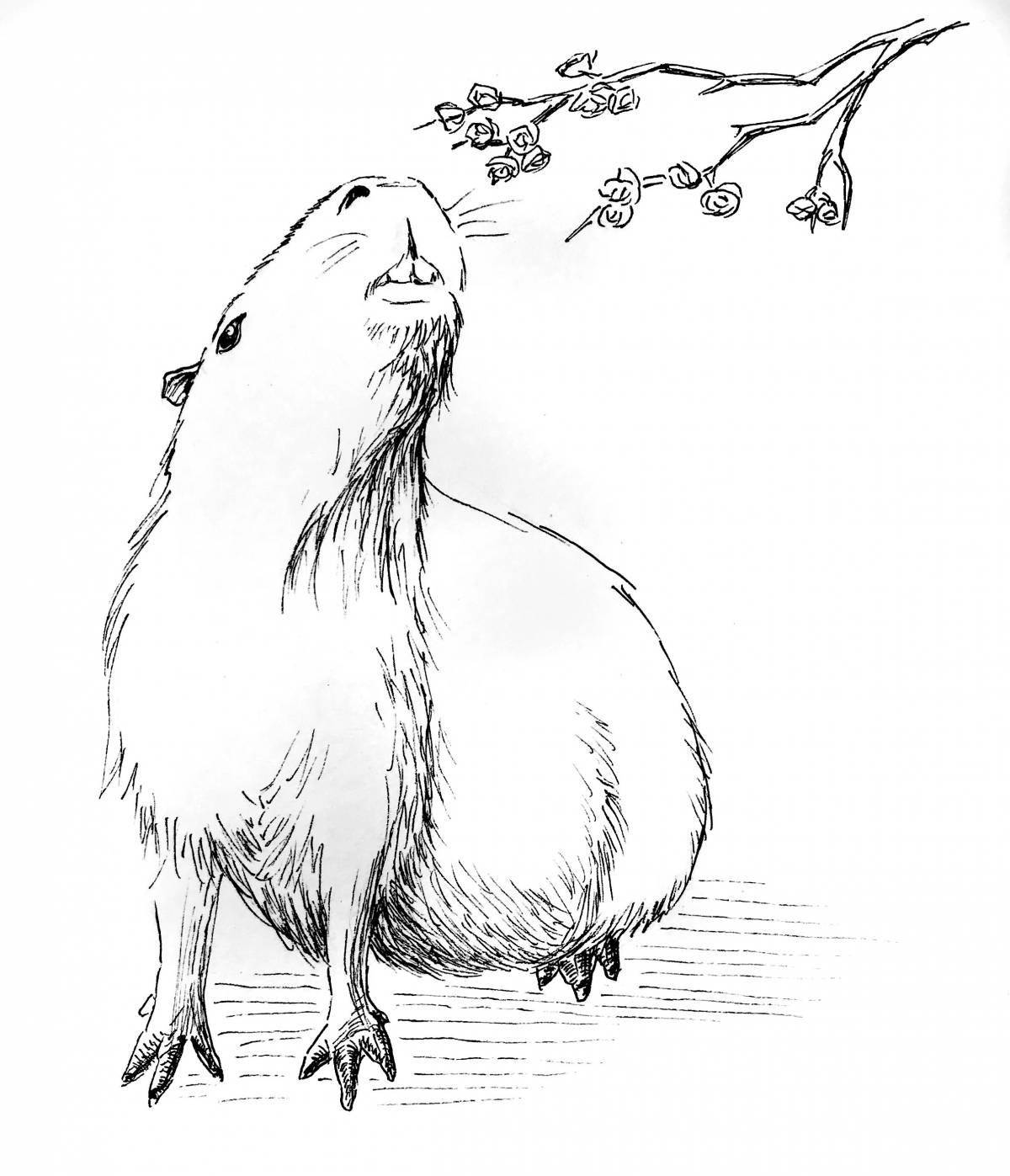 Creative capybara coloring book for kids