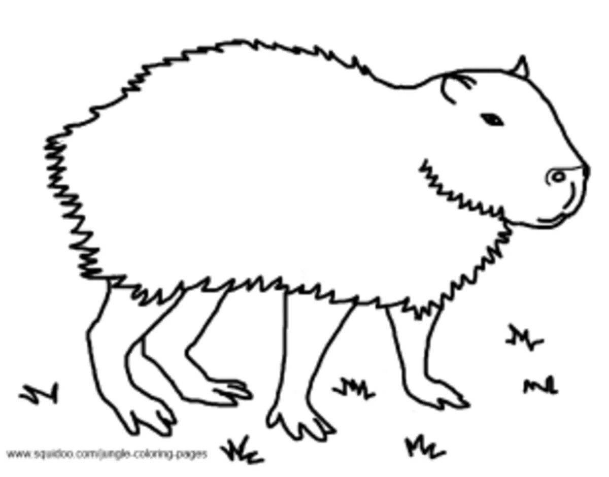 A fun capybara coloring book for kids