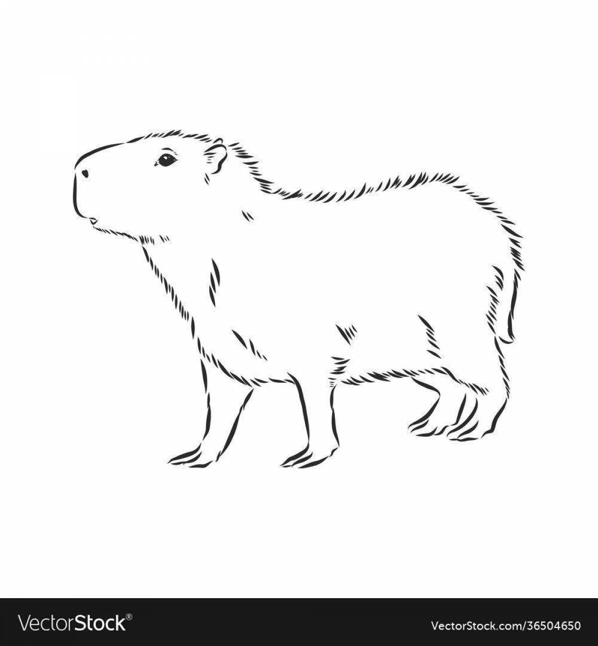 Colorful capybara coloring book for kids