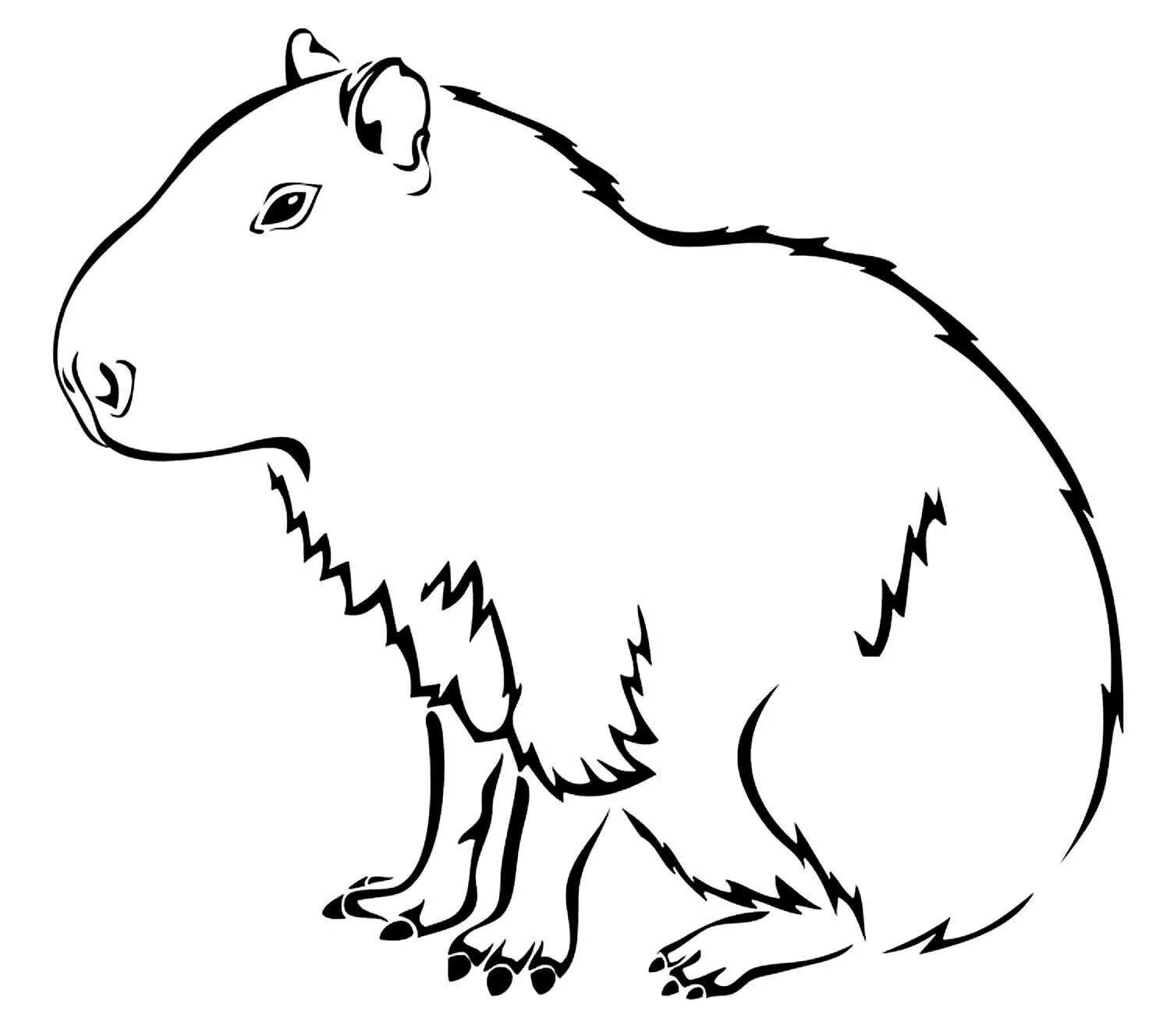 Capybara for kids #8