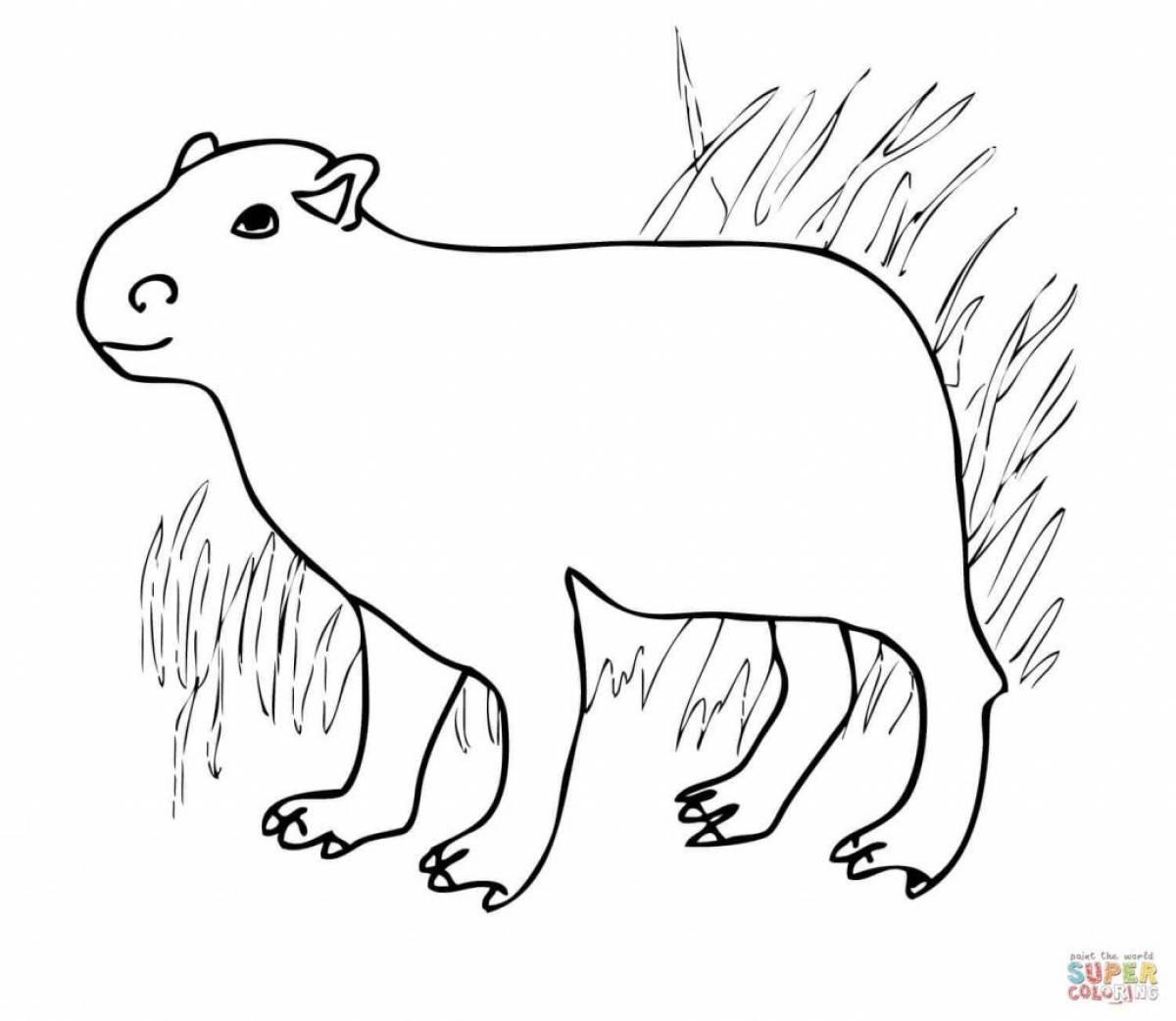 Capybara for kids #9