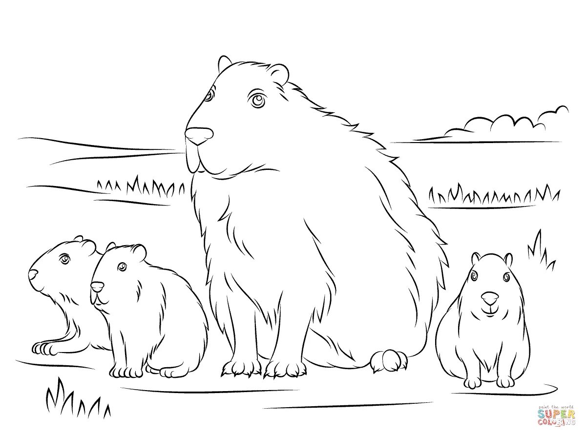 Capybara for kids #14