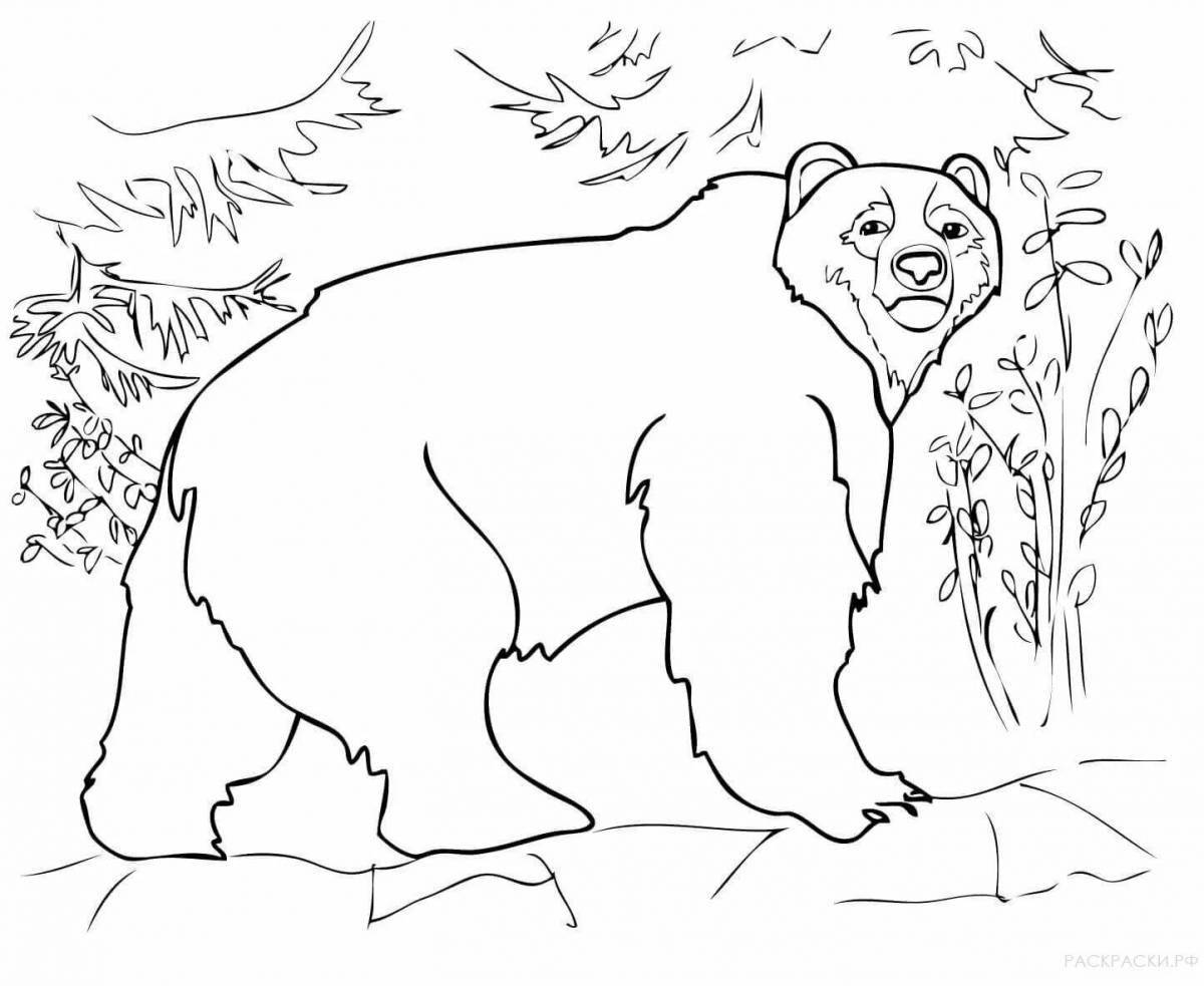 Cute bear drawing for kids