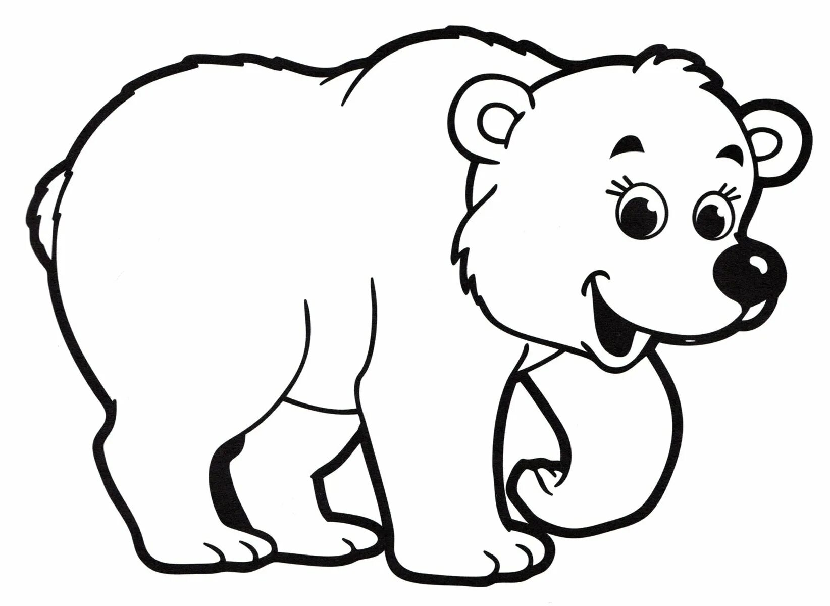 Drawing bear for kids #2