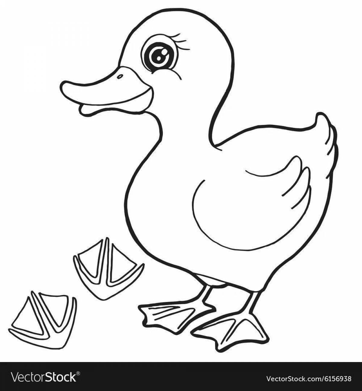 Cute duck coloring book for kids