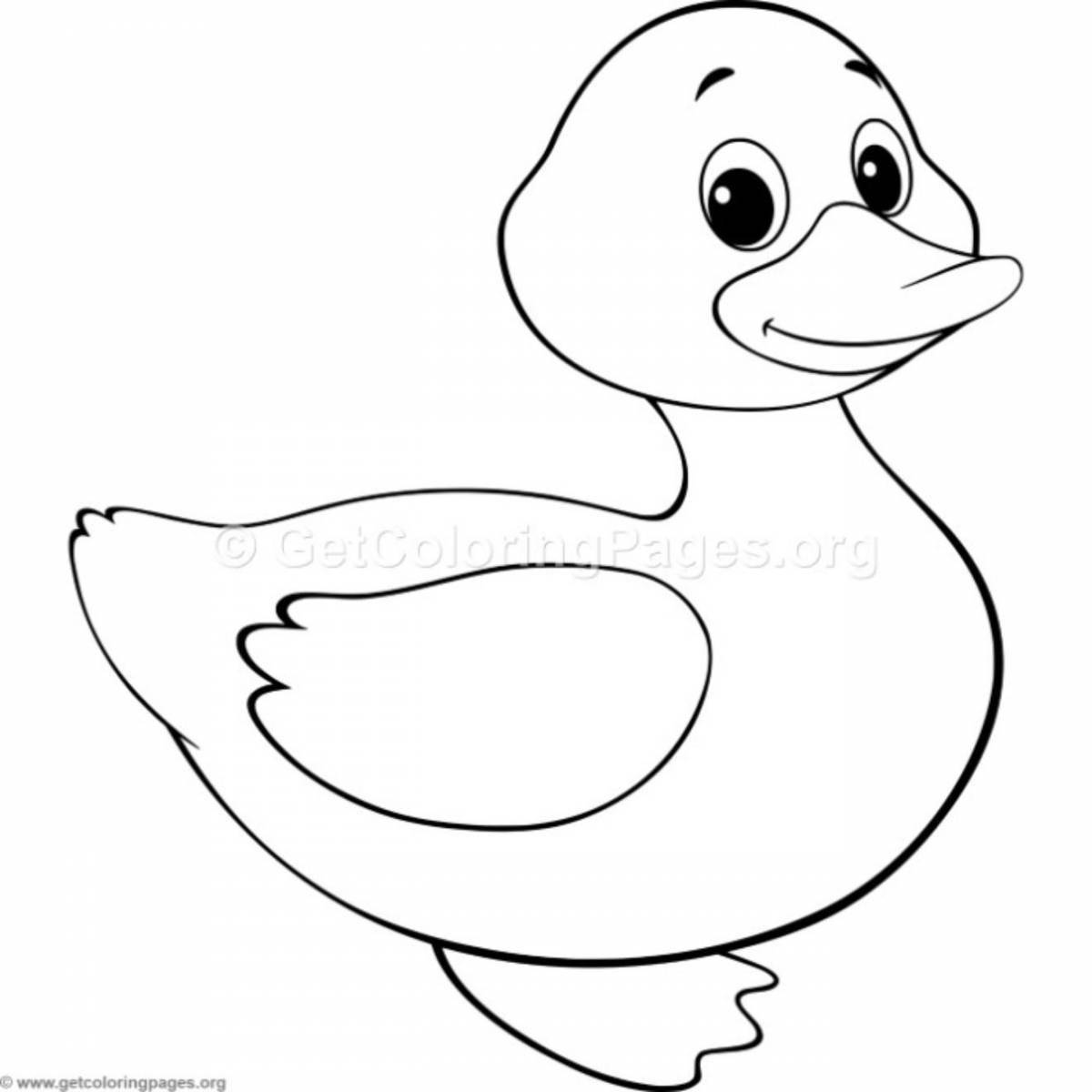 Attractive duck coloring book for kids