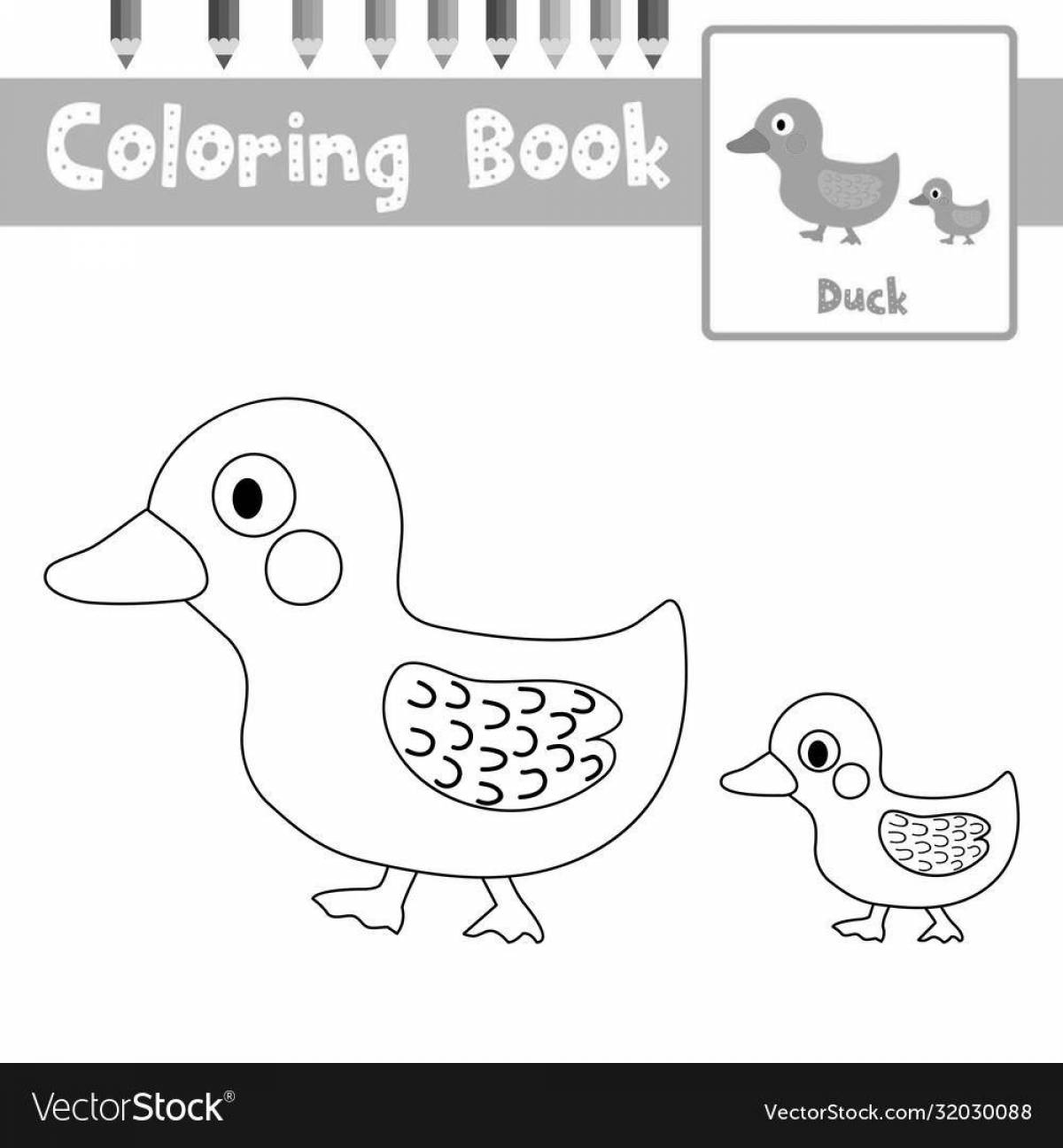Adorable duck coloring book for kids