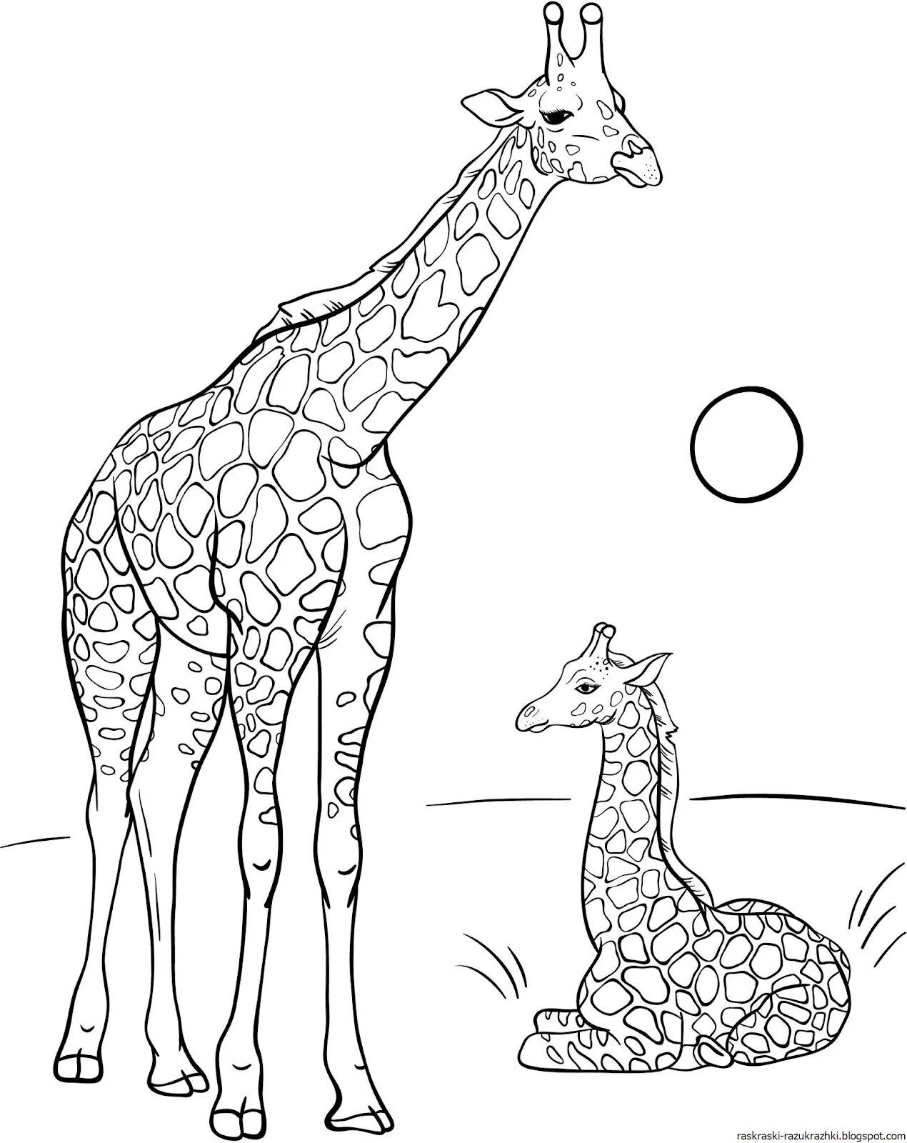 Рисунок жираф для детей #4
