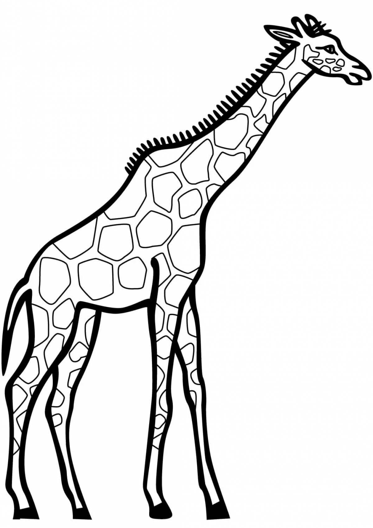 Drawing giraffe for kids #7