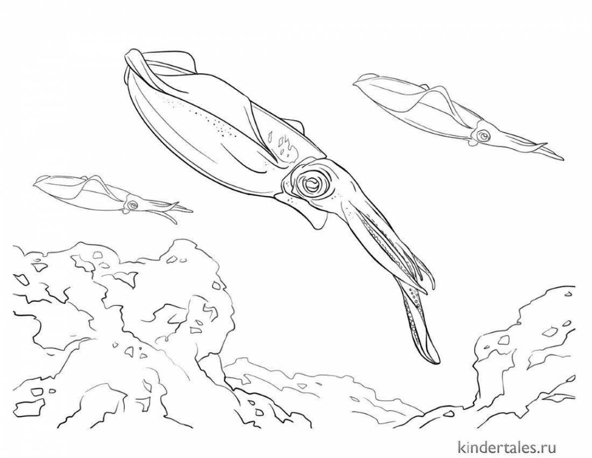 Attractive squid coloring game