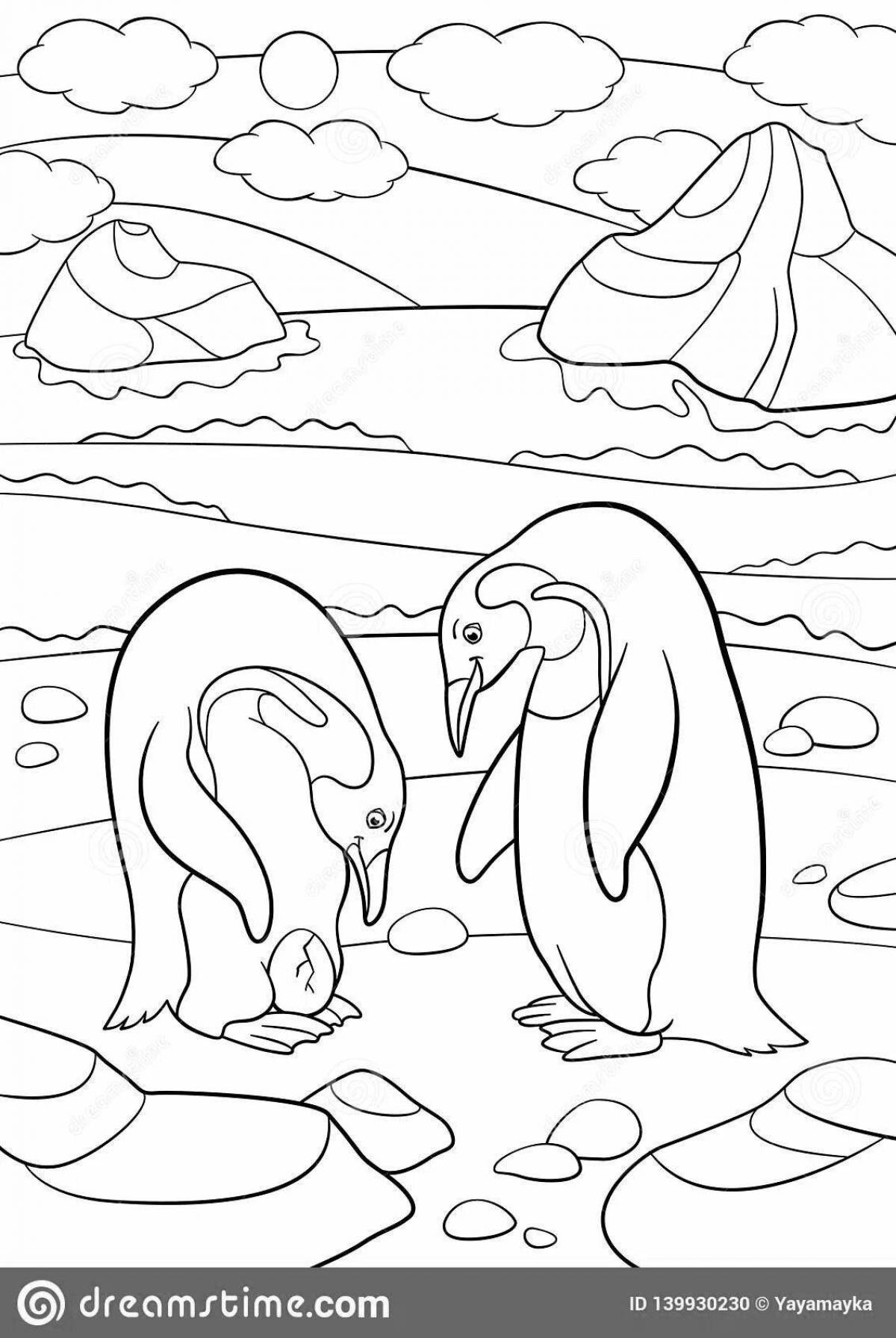 Colorful penguin on an ice floe coloring pages for children