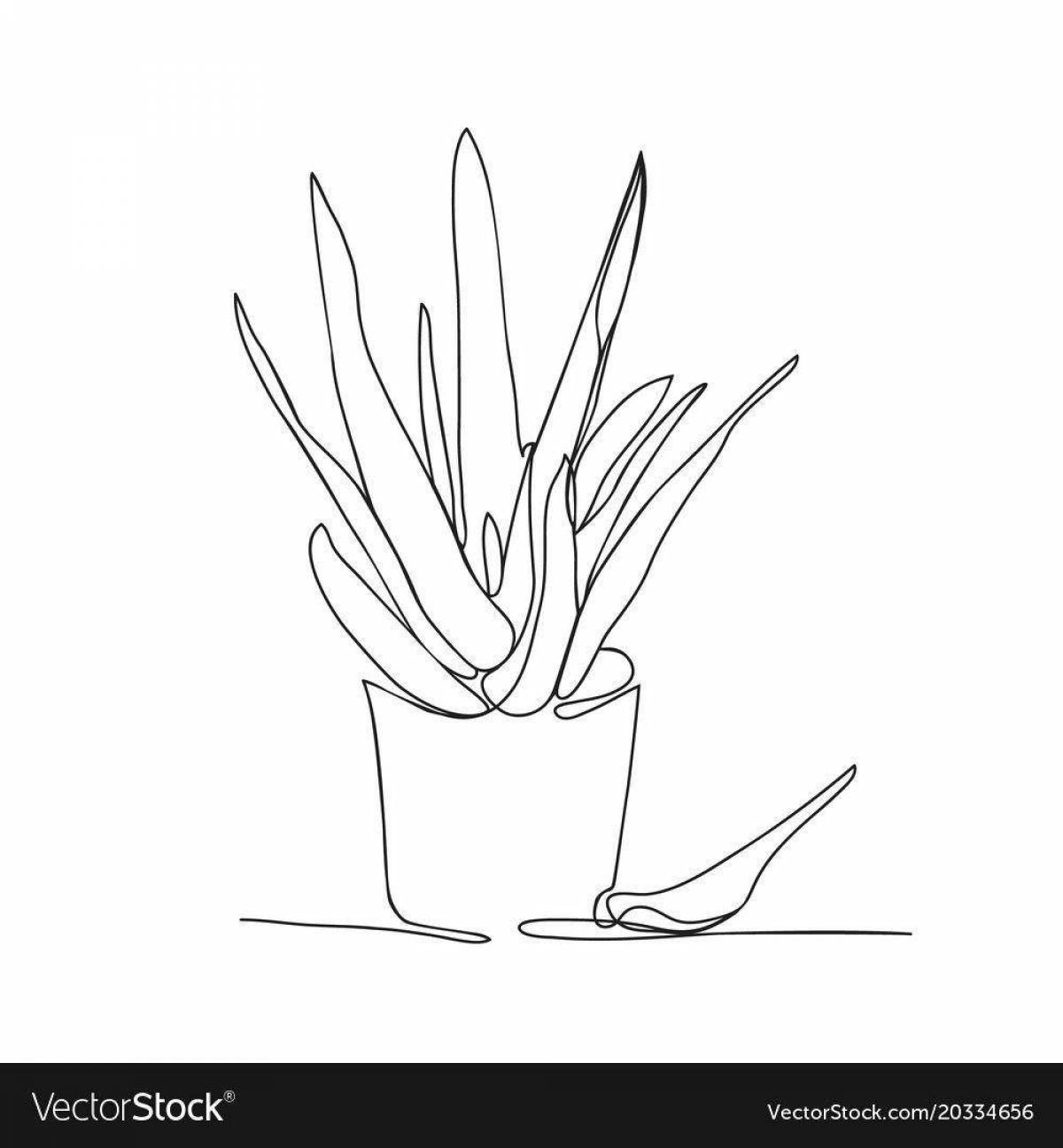 Цветущий алоэ в горшке