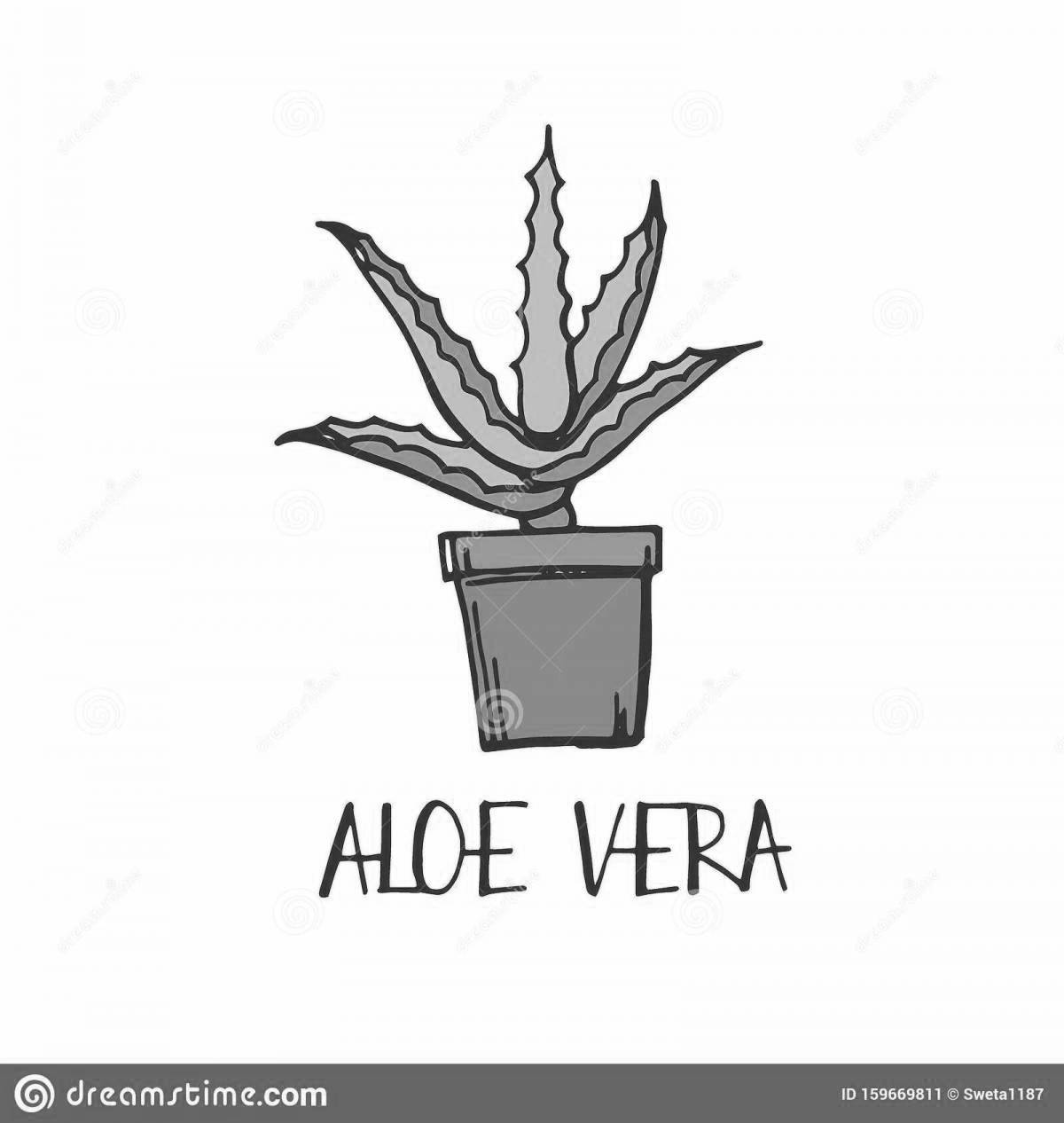 Aloe potted for kids #2