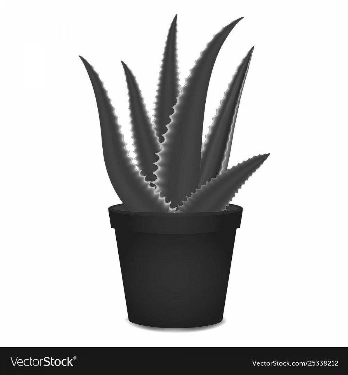 Алоэ для детей в горшке #7