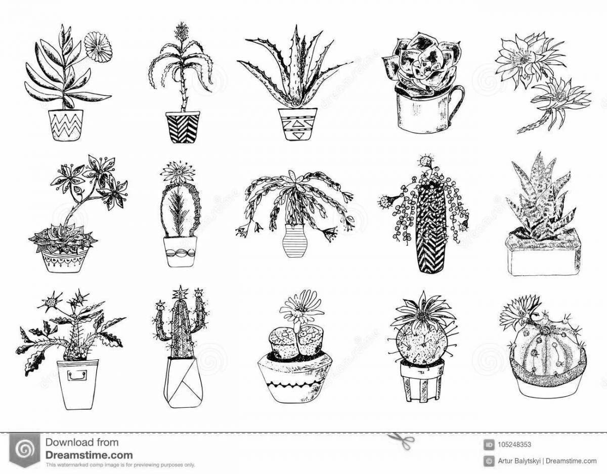 Алоэ для детей в горшке #8