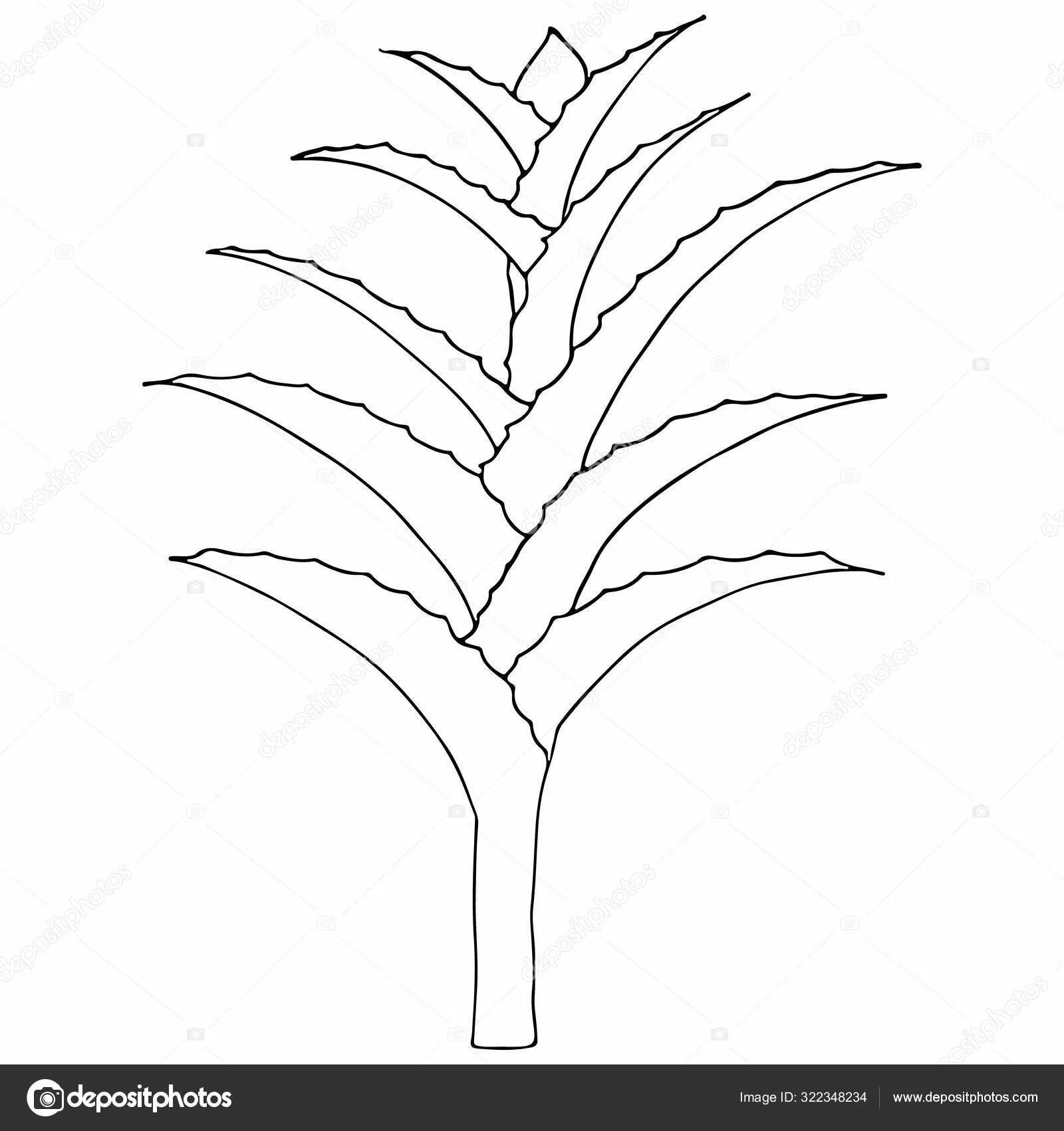 Алоэ для детей в горшке #18