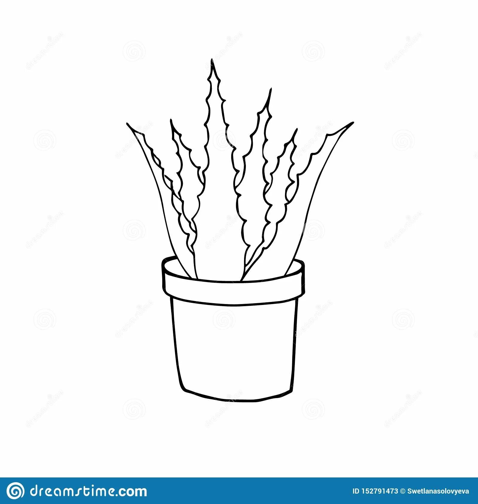 Алоэ для детей в горшке #25