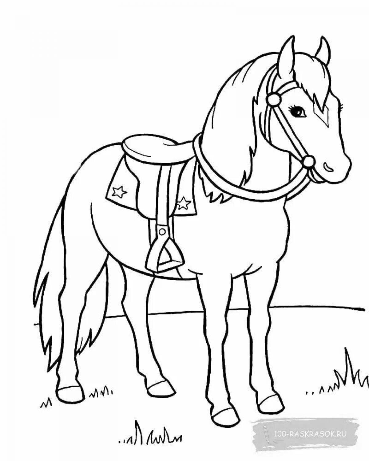 Exotic horse coloring book for children 6-7 years old