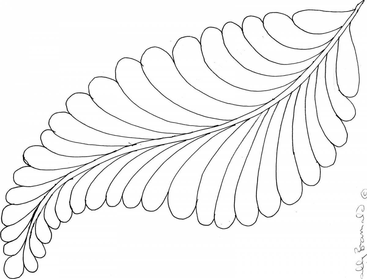 Photo Adorable feather bird coloring book for kids