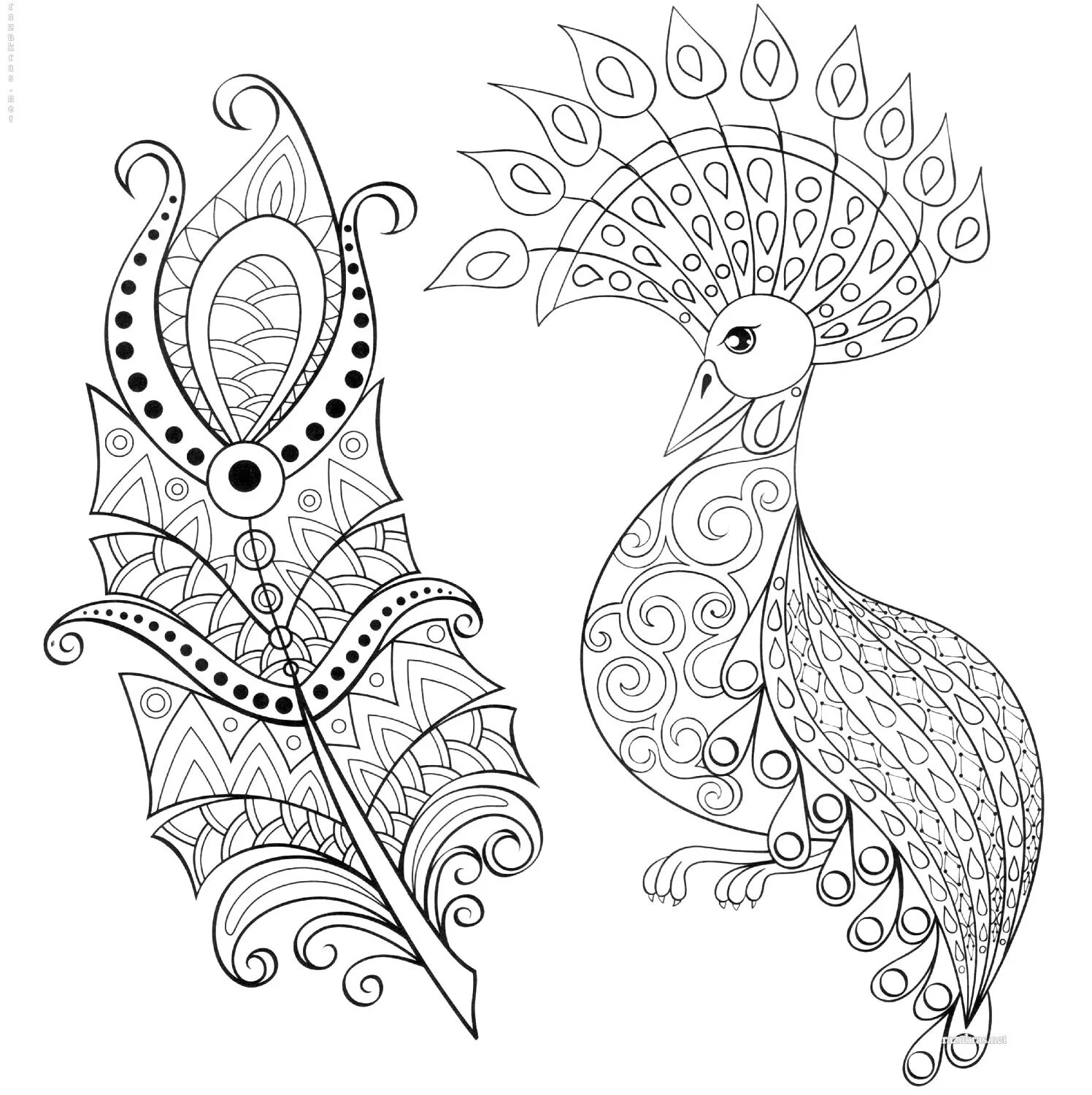 Coloring book firebird with live feathers for children