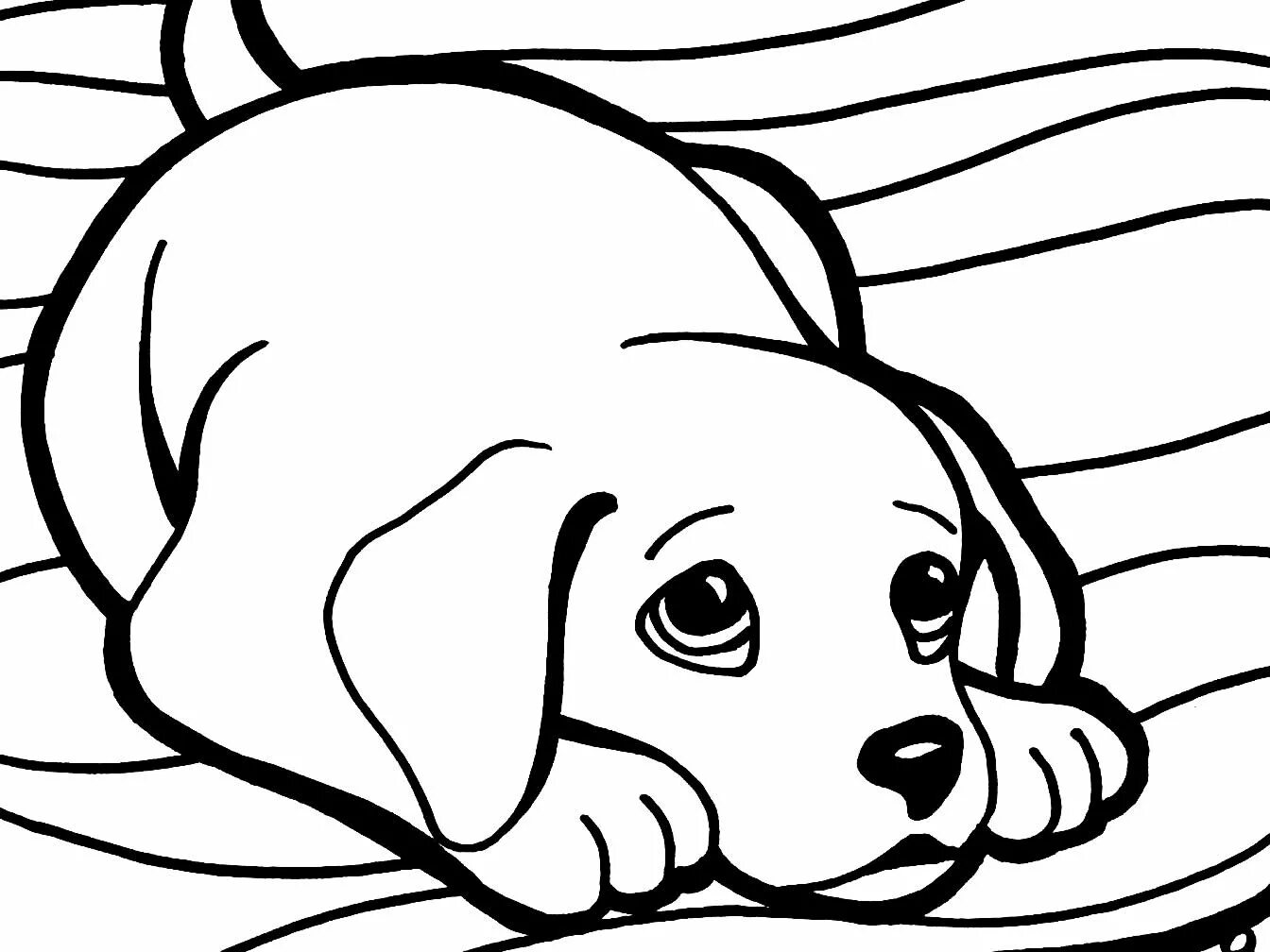 Fluffy cat and dog coloring pages for kids