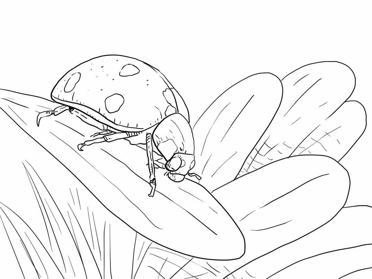 Fun coloring pages of insects for children 6-7 years old