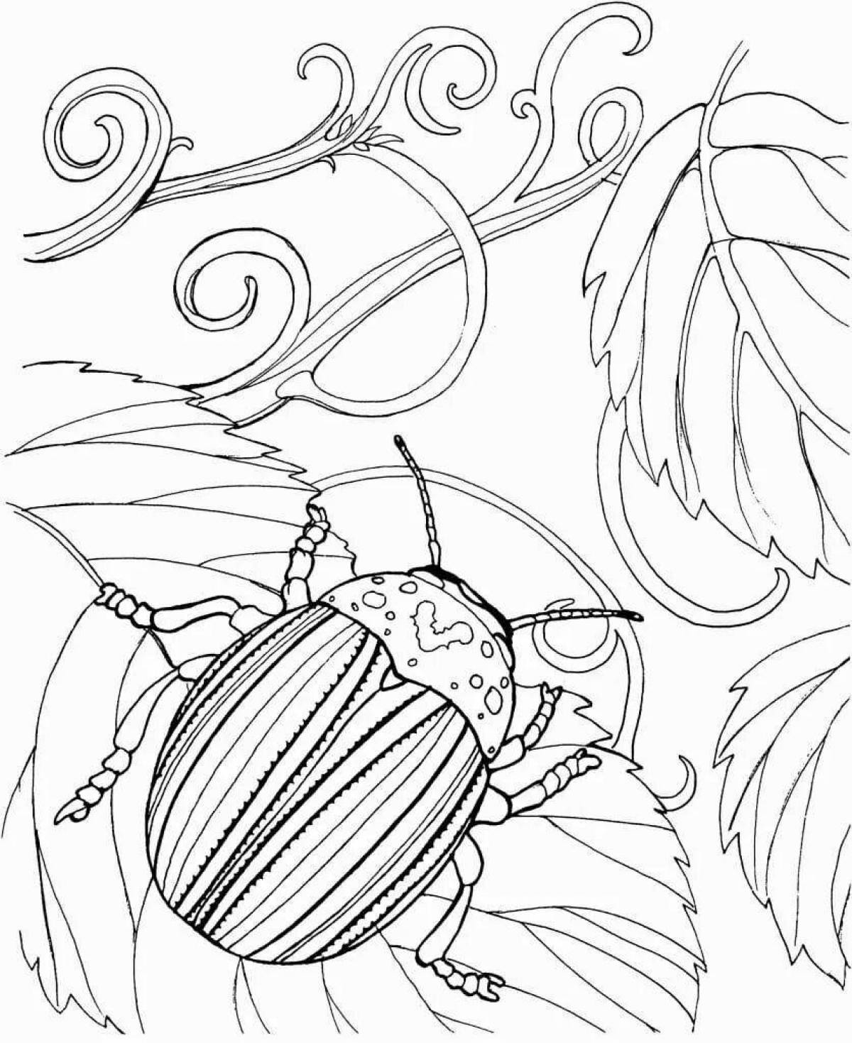 Innovative insect coloring page for 6-7 year olds