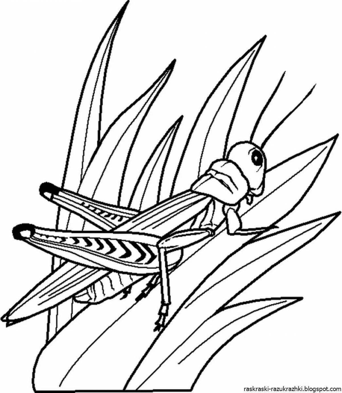 Creative insect coloring book for 6-7 year olds