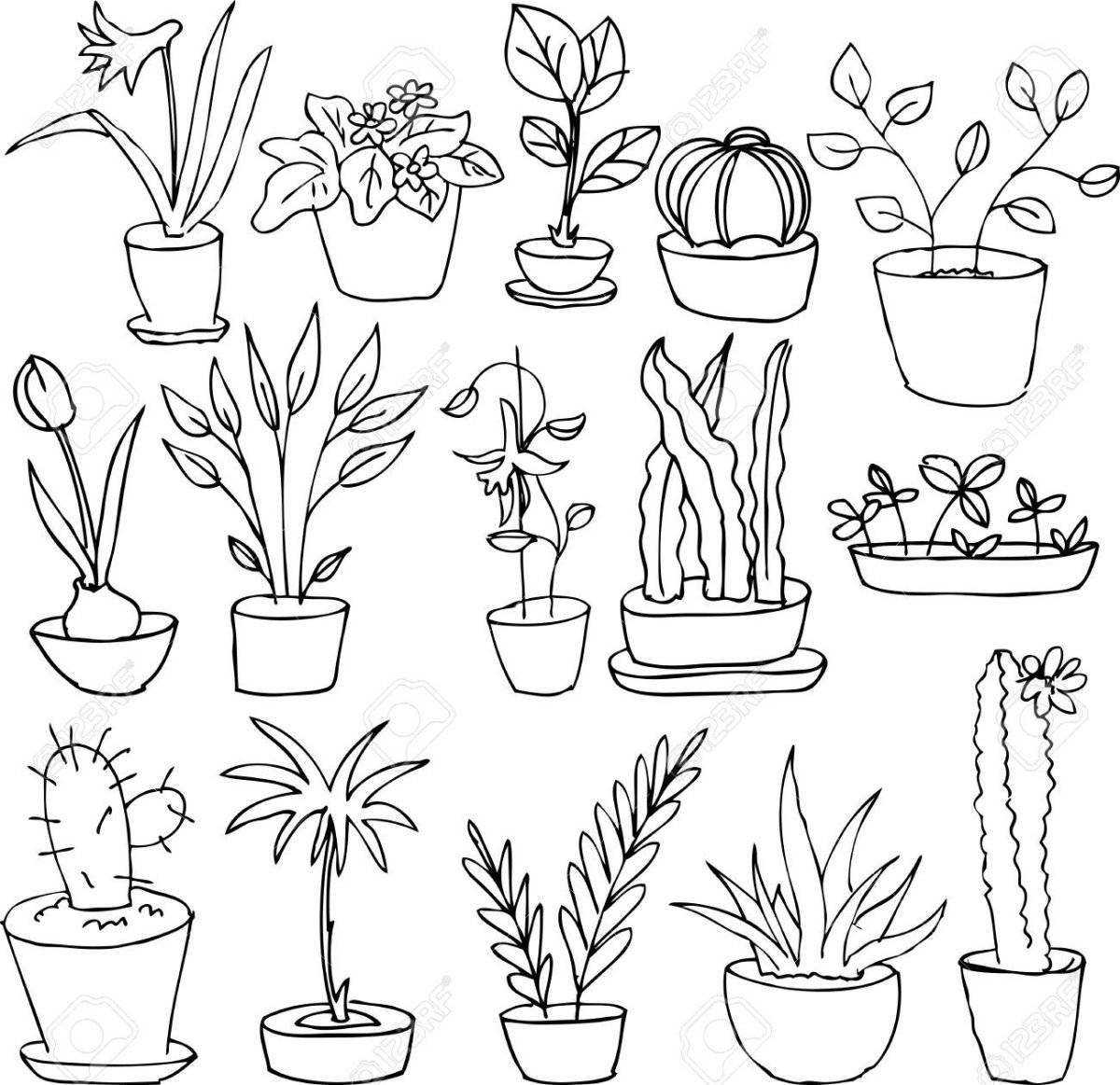 Coloring book for cute houseplants for 6-7 year olds