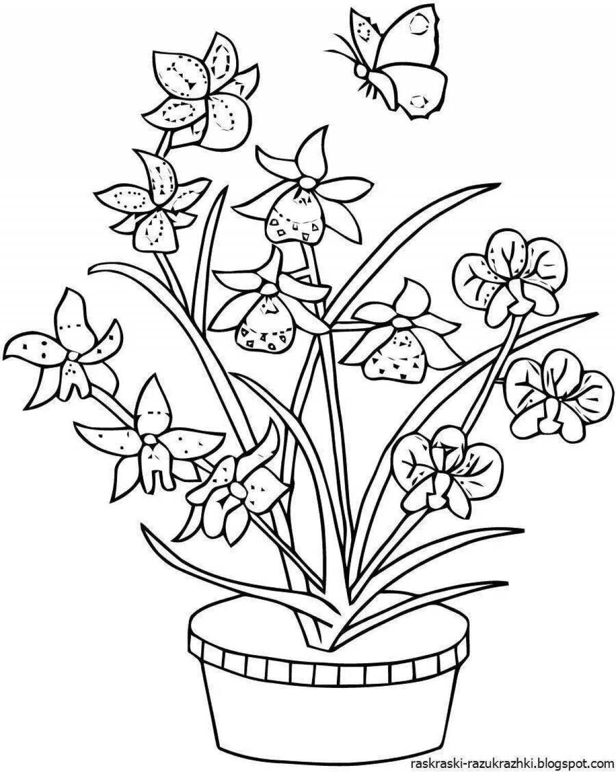Fancy indoor plants coloring book for 6-7 year olds