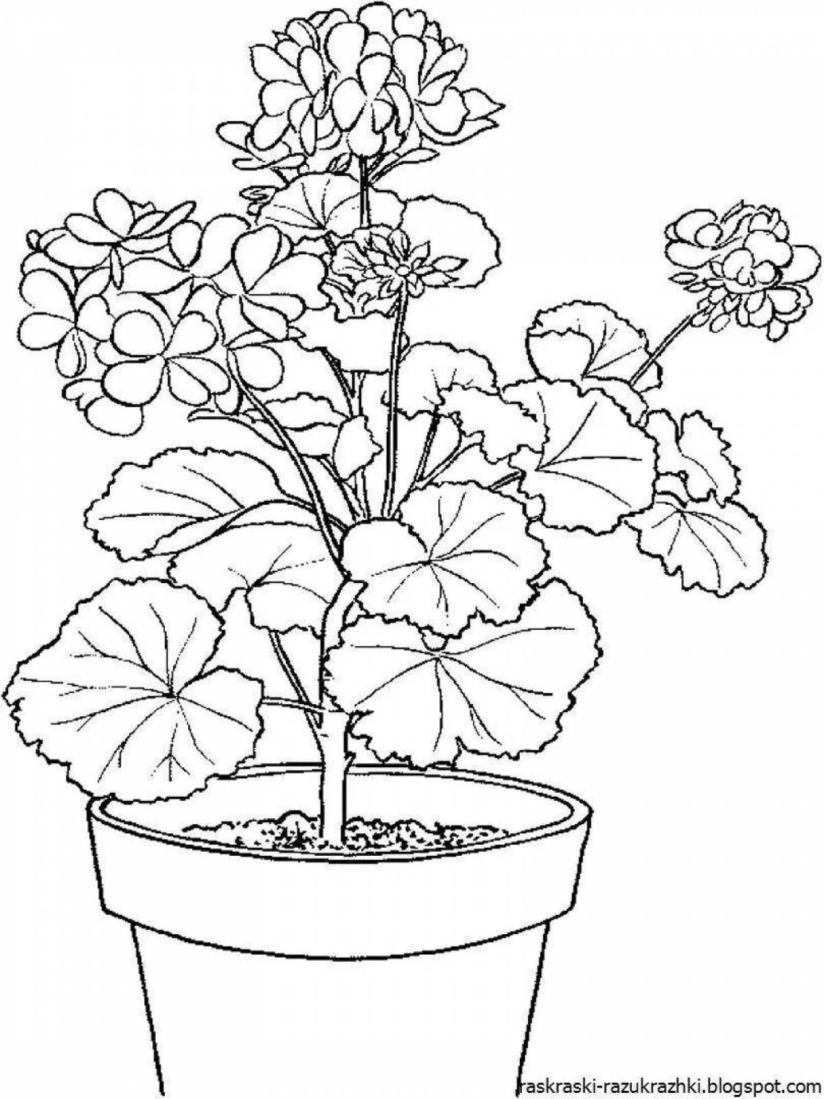 Animated houseplant coloring page for 6-7 year olds