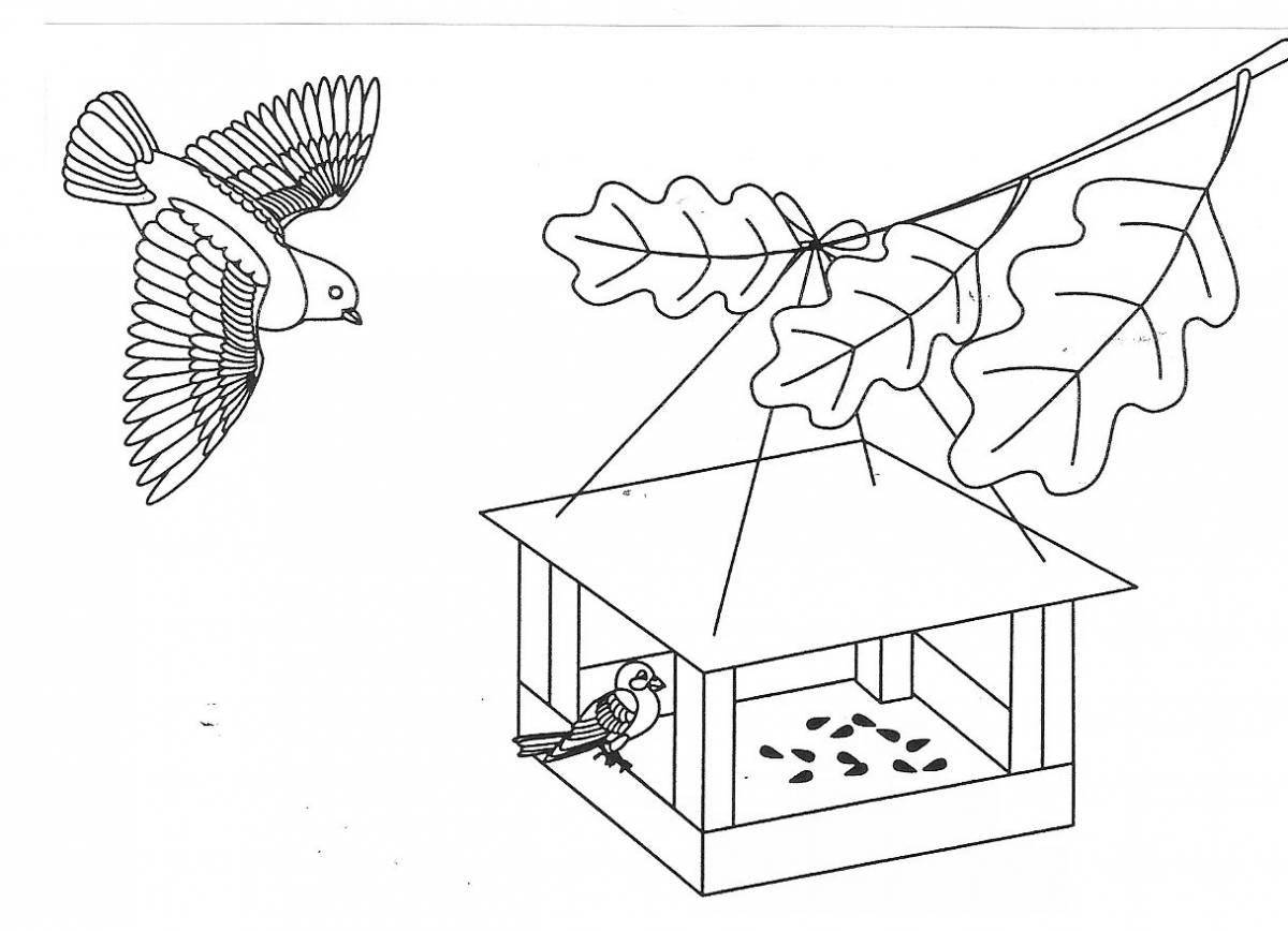 Увлекательная раскраска «кормушка для птиц» для детей
