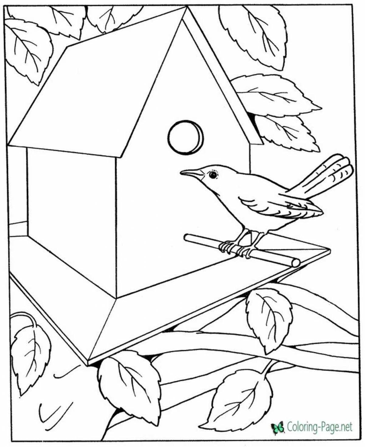 Great bird feeder coloring book for toddlers