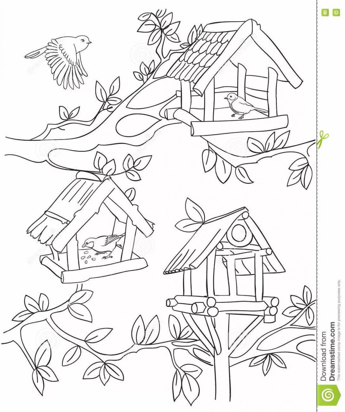 Fantastic bird feeder coloring book for 4-5 year olds